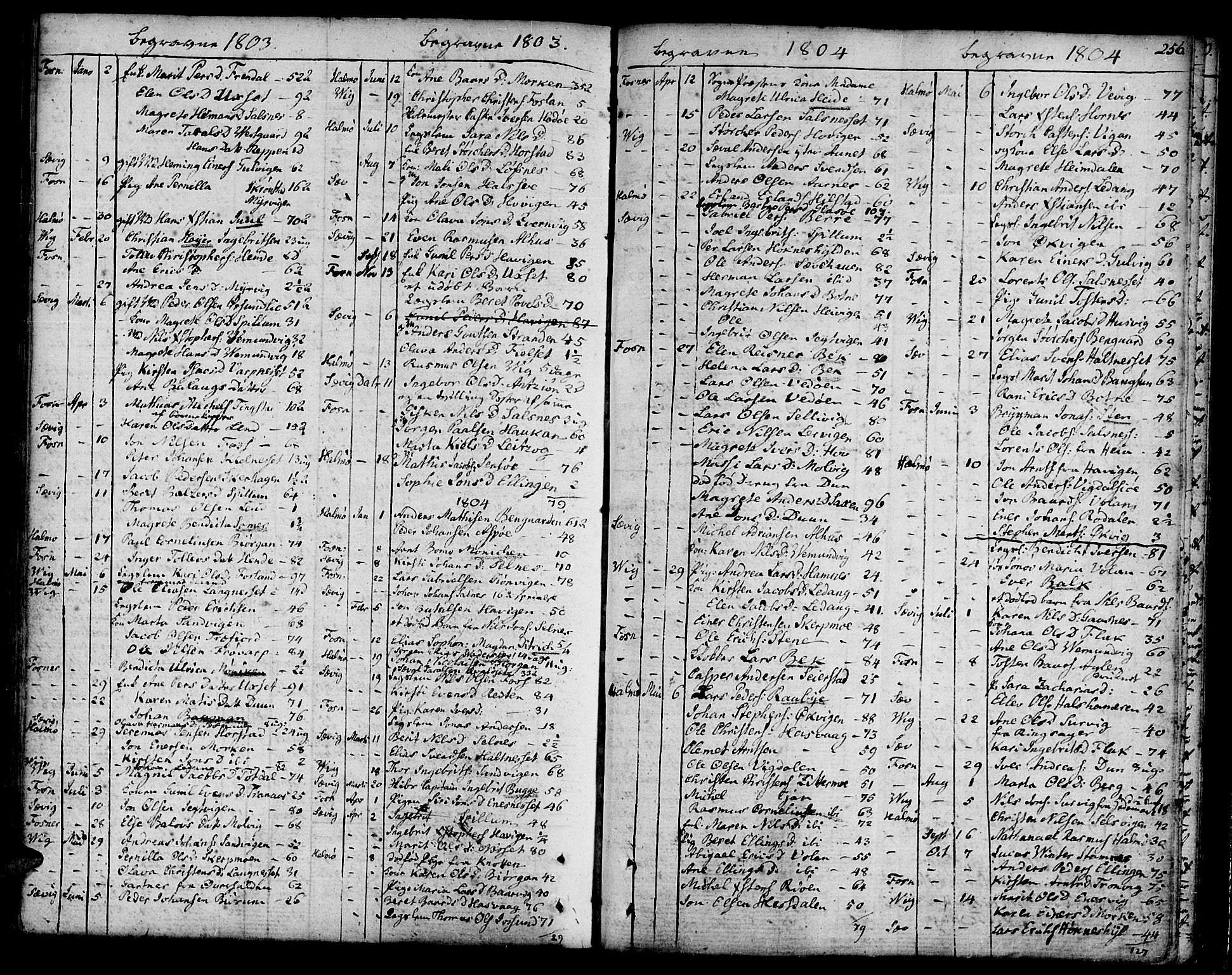 Ministerialprotokoller, klokkerbøker og fødselsregistre - Nord-Trøndelag, SAT/A-1458/773/L0608: Parish register (official) no. 773A02, 1784-1816, p. 256