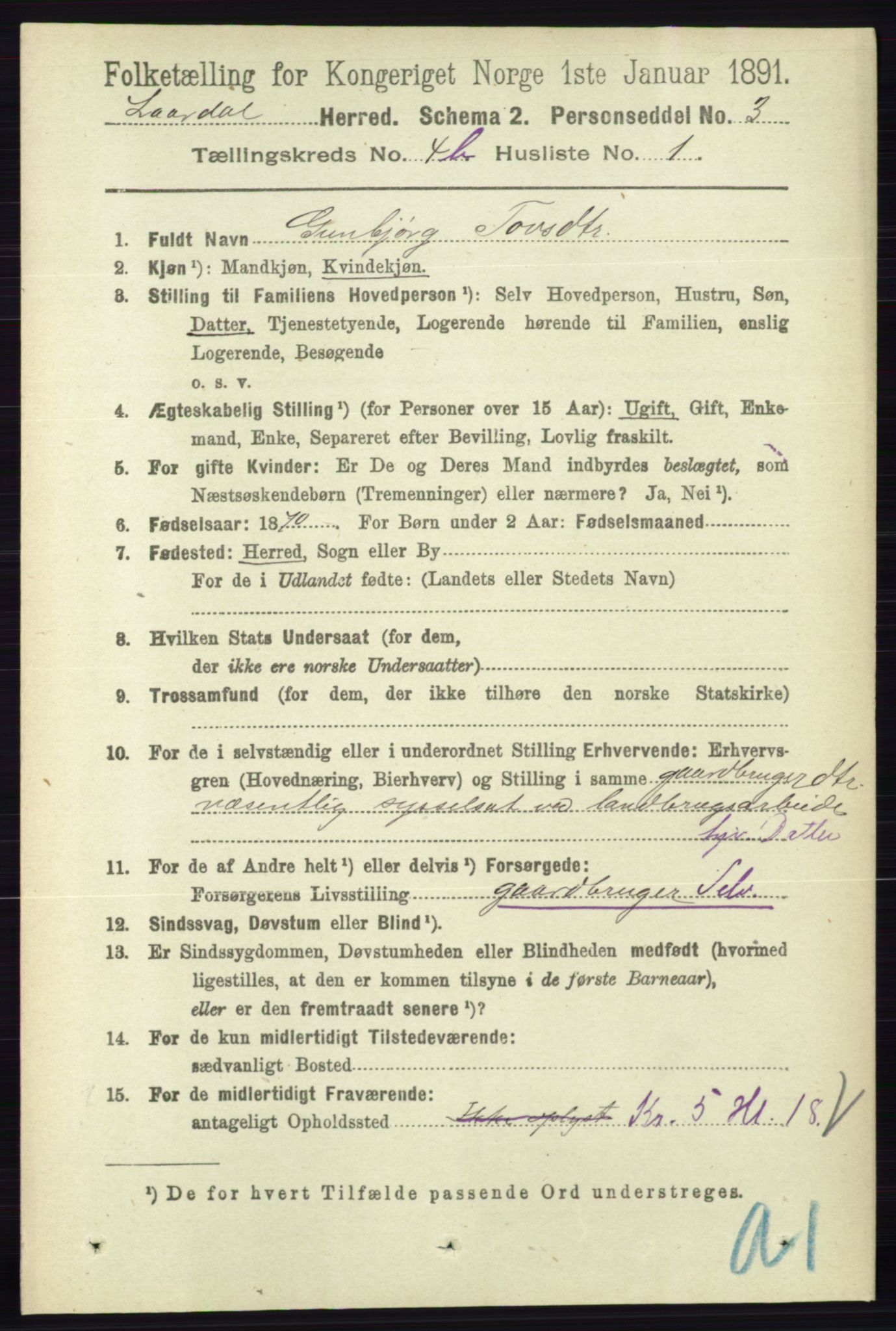 RA, 1891 census for 0833 Lårdal, 1891, p. 1176