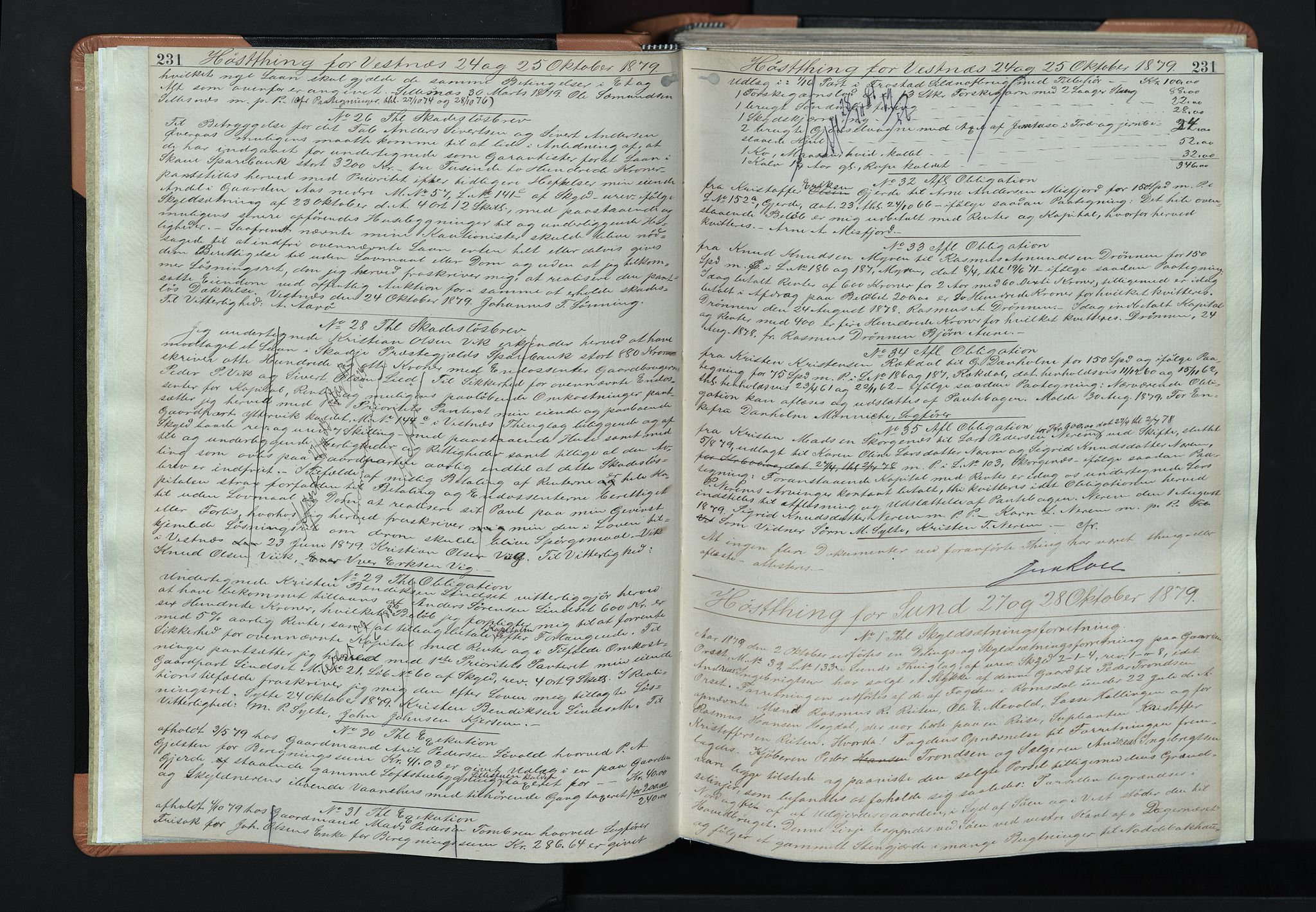 Romsdal sorenskriveri, AV/SAT-A-4149/1/2/2C/L0021: Mortgage book no. 18 II, 1879-1881, p. 231