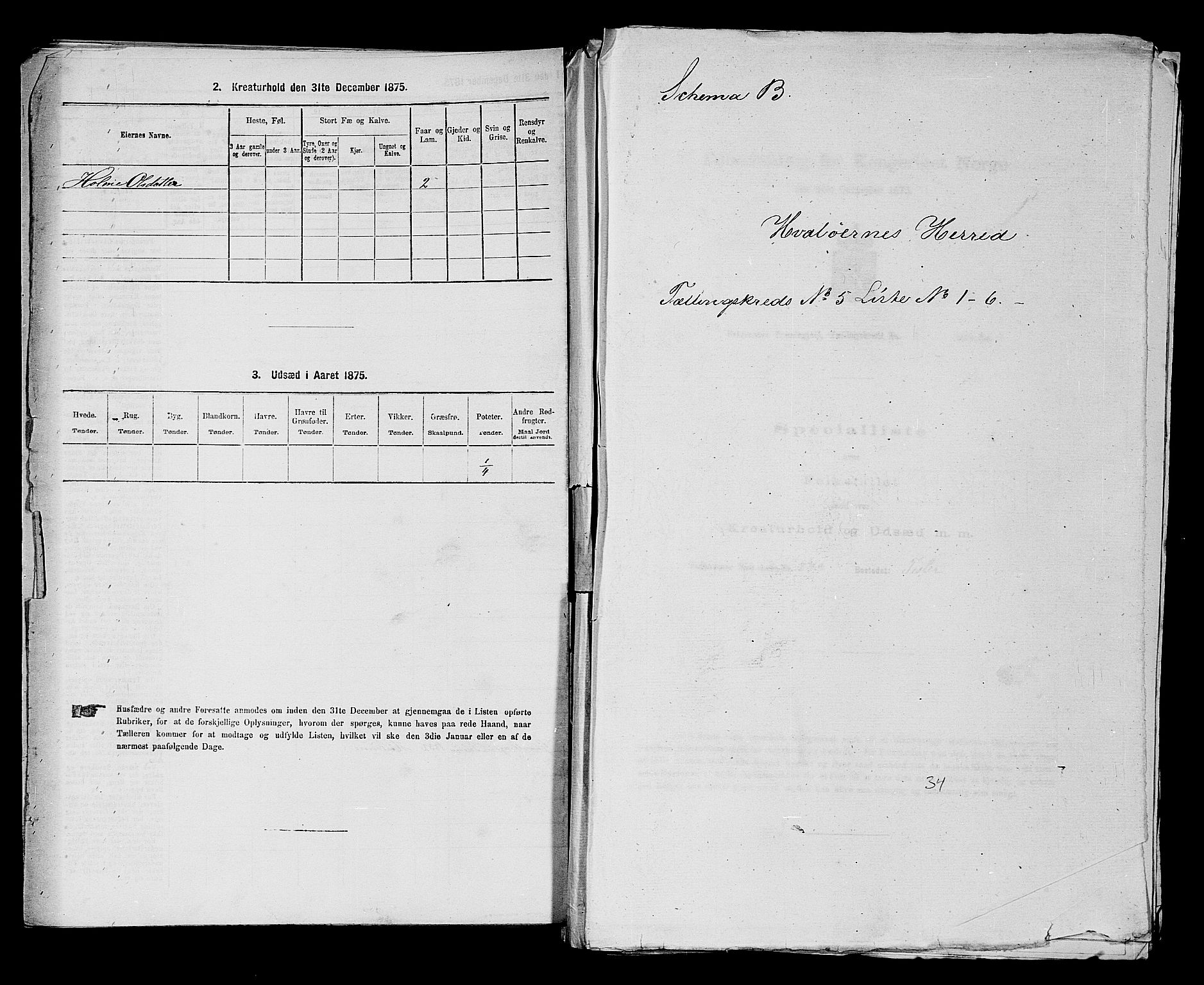RA, 1875 census for 0111P Hvaler, 1875, p. 714