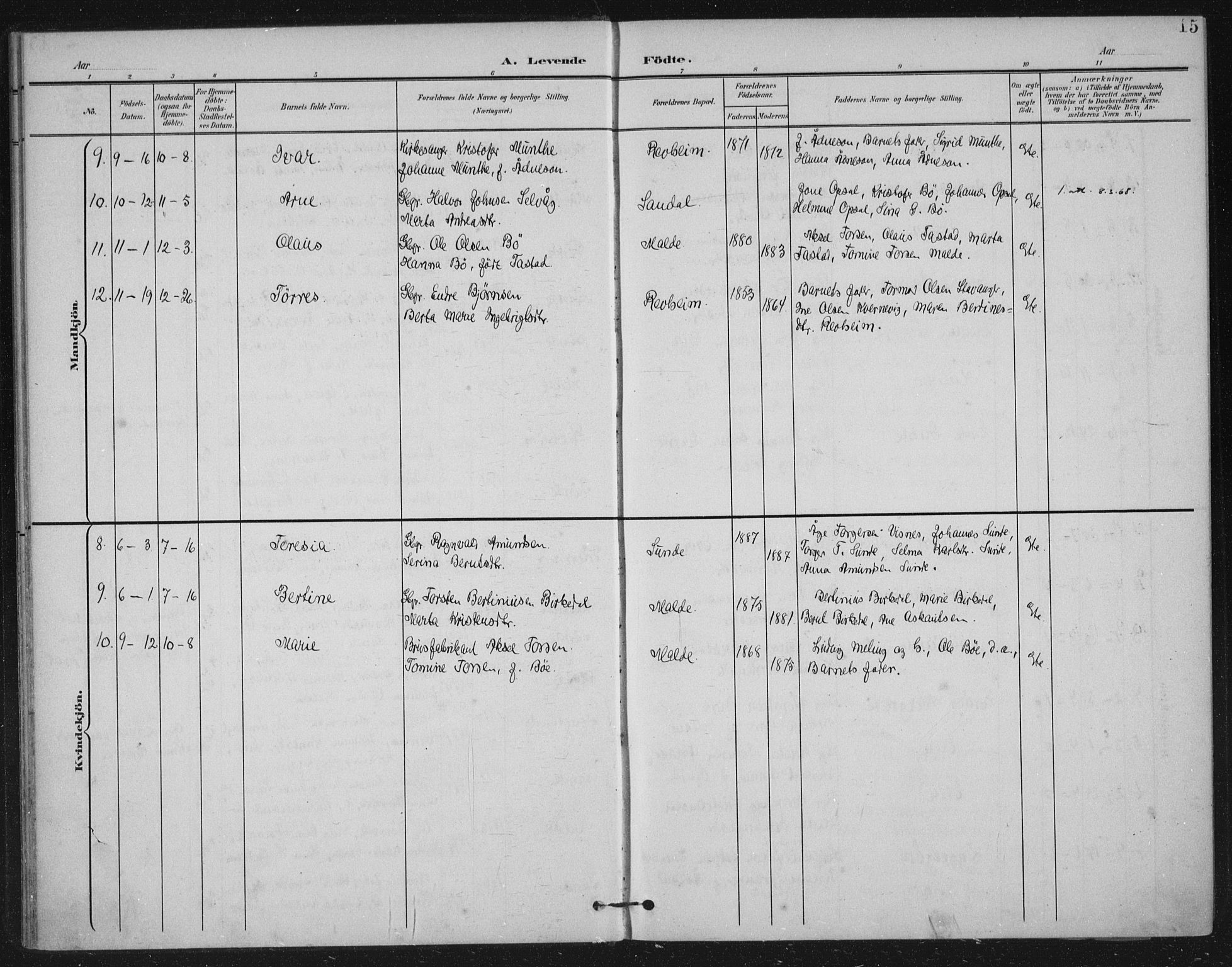 Håland sokneprestkontor, AV/SAST-A-101802/002/B/L0001: Parish register (official) no. A 13, 1901-1923, p. 15