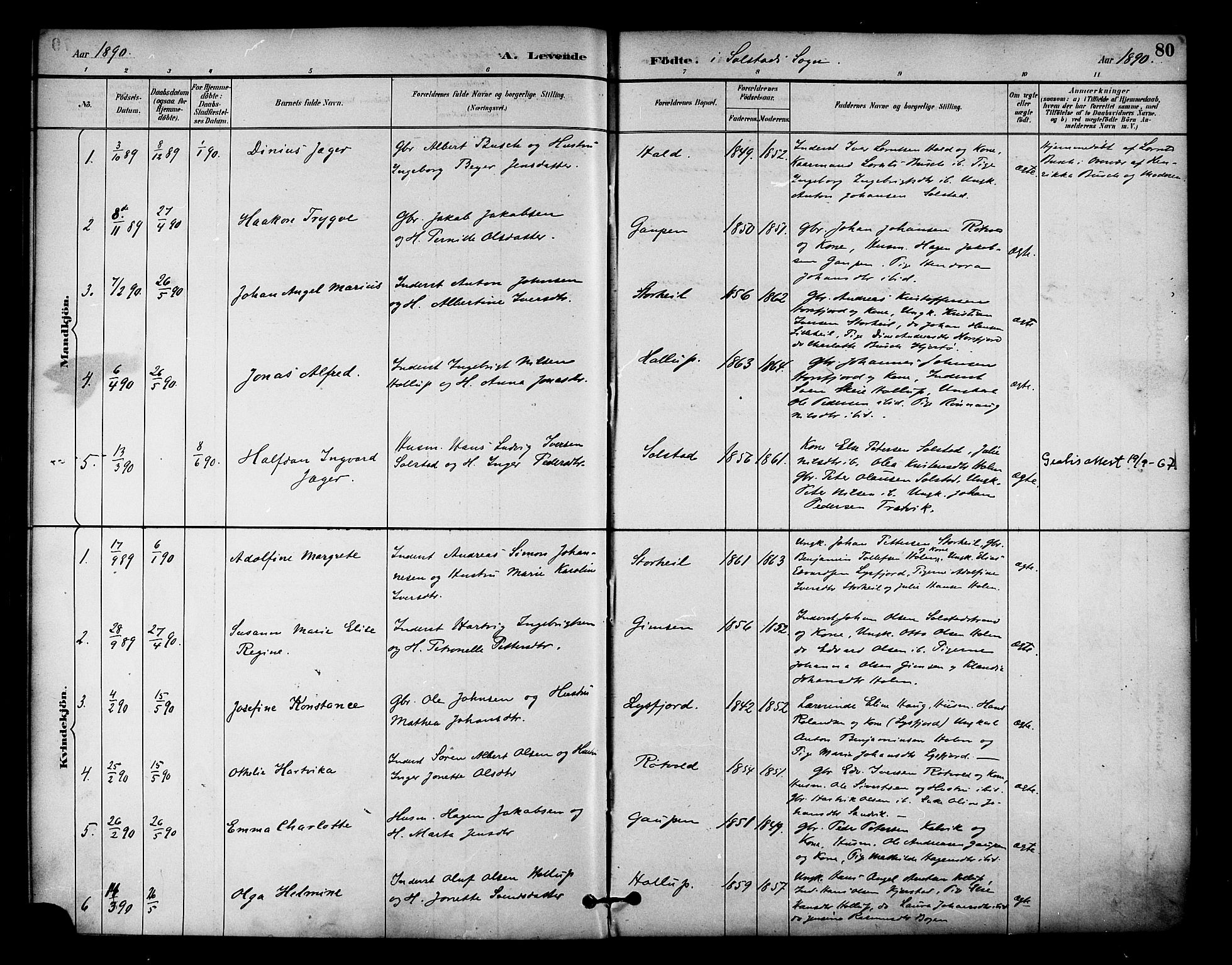 Ministerialprotokoller, klokkerbøker og fødselsregistre - Nordland, AV/SAT-A-1459/810/L0151: Parish register (official) no. 810A10 /2, 1885-1895, p. 80