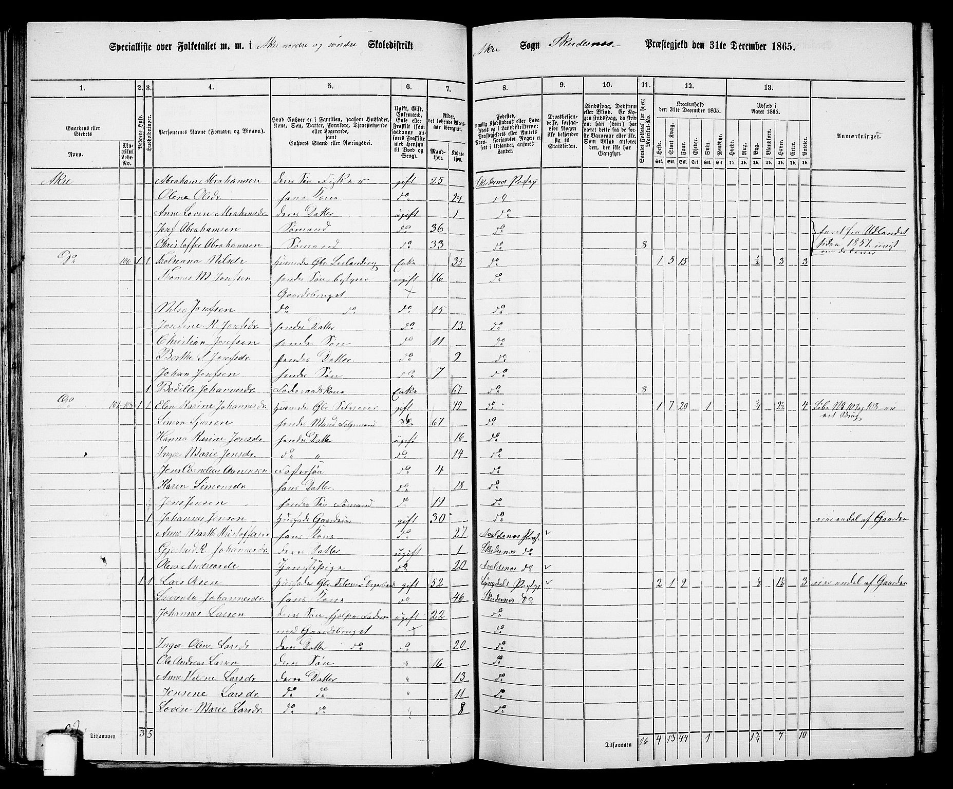 RA, 1865 census for Skudenes, 1865, p. 62