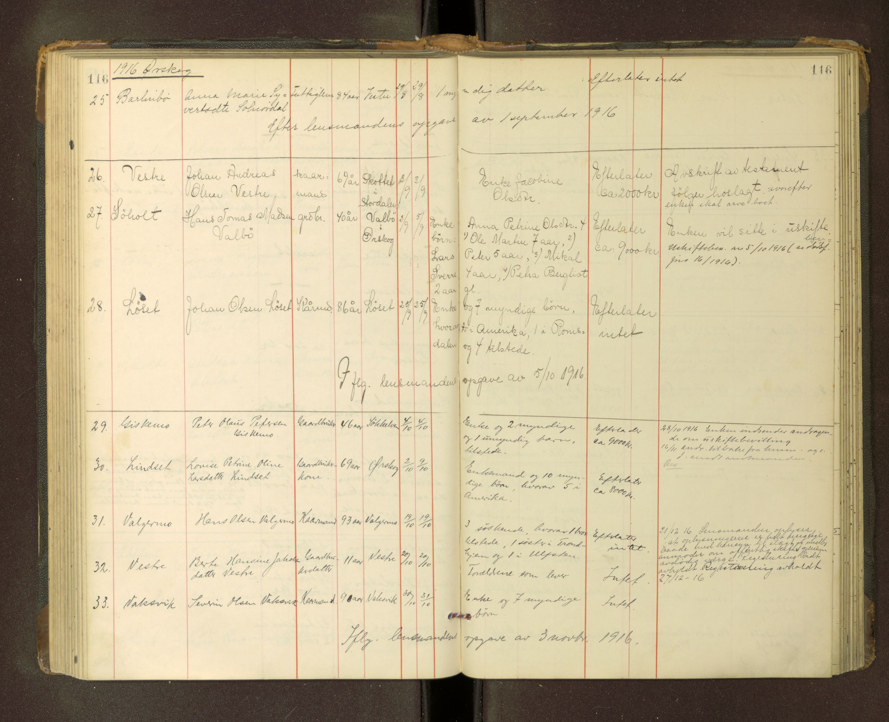Nordre Sunnmøre sorenskriveri, AV/SAT-A-0006/1/3/3L/L0007: Dødsfallsprotokoll, 1913-1919, p. 116