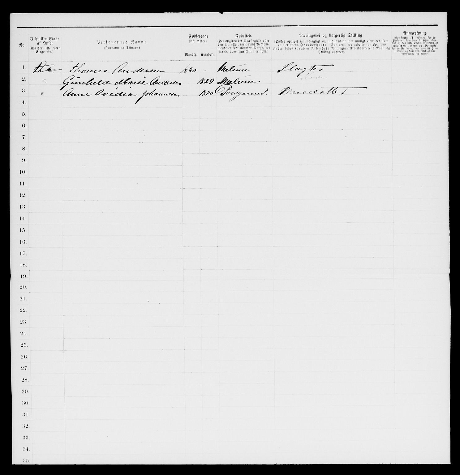 SAKO, 1885 census for 0805 Porsgrunn, 1885, p. 11