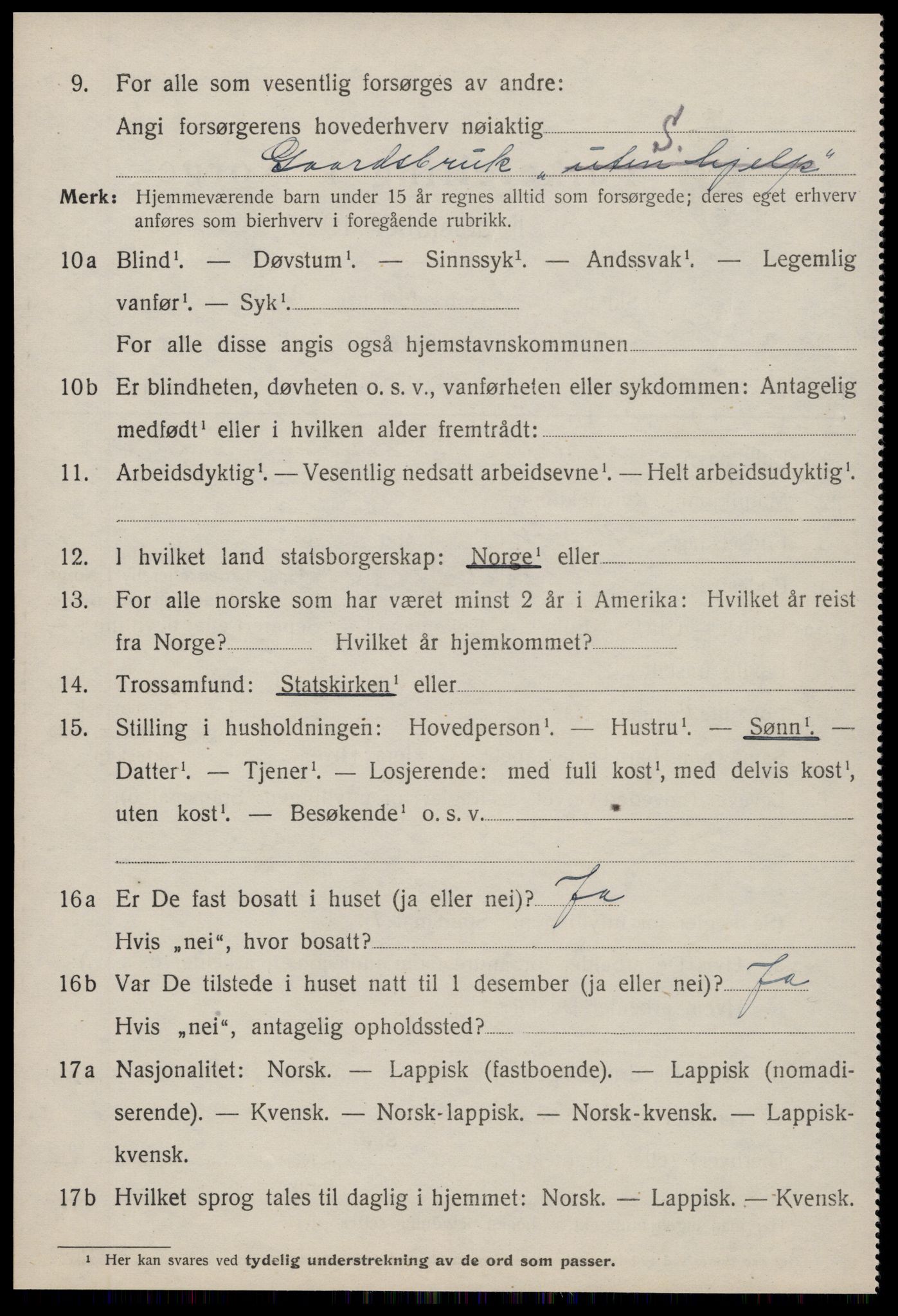 SAT, 1920 census for Hemne, 1920, p. 1817