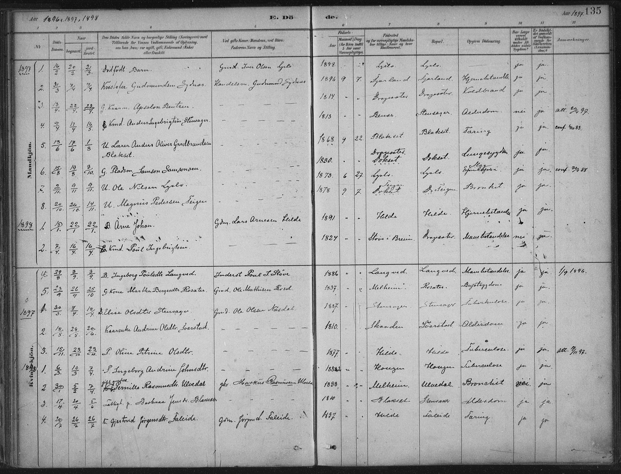 Innvik sokneprestembete, AV/SAB-A-80501: Parish register (official) no. B  1, 1879-1902, p. 135