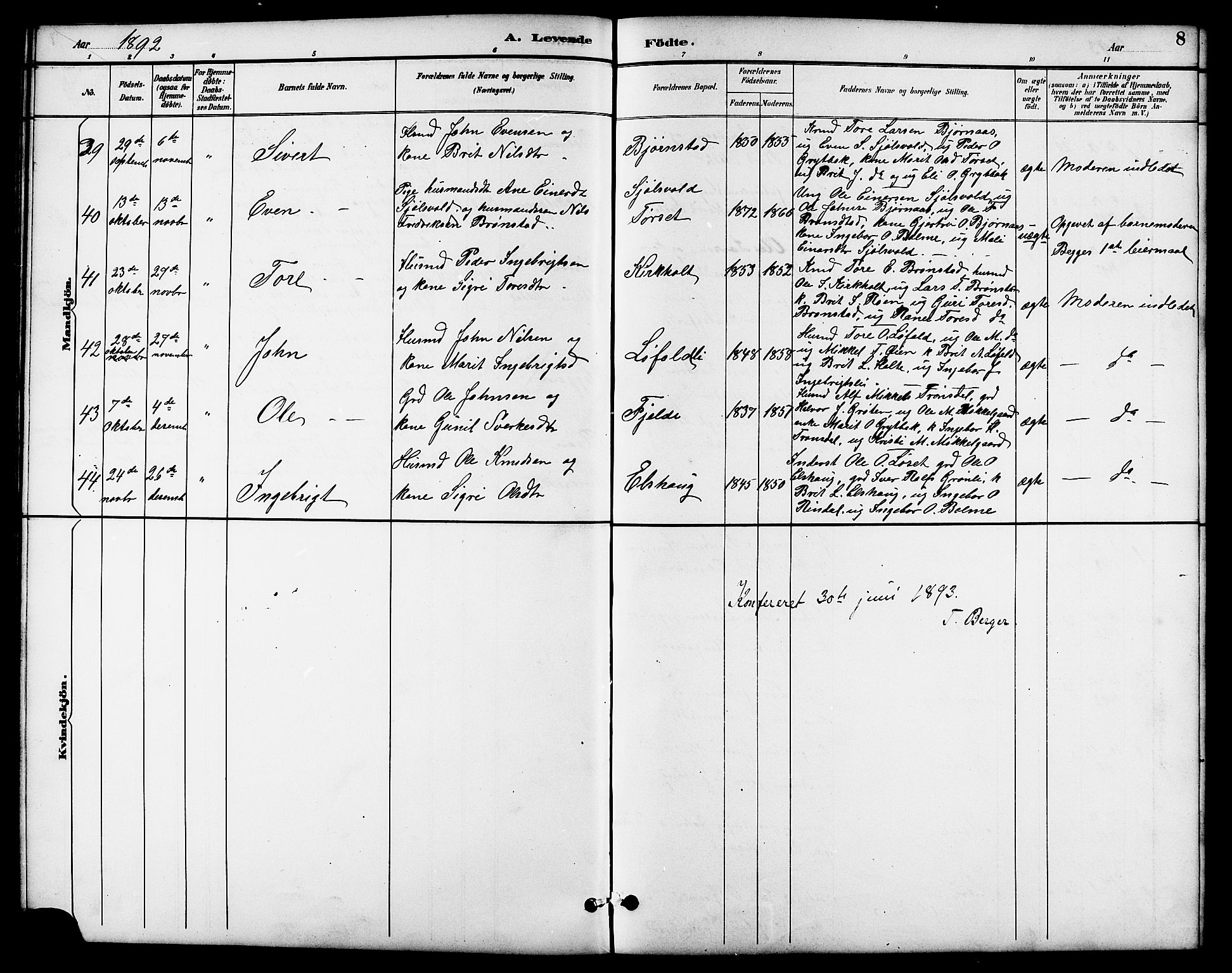 Ministerialprotokoller, klokkerbøker og fødselsregistre - Møre og Romsdal, AV/SAT-A-1454/598/L1078: Parish register (copy) no. 598C03, 1892-1909, p. 8