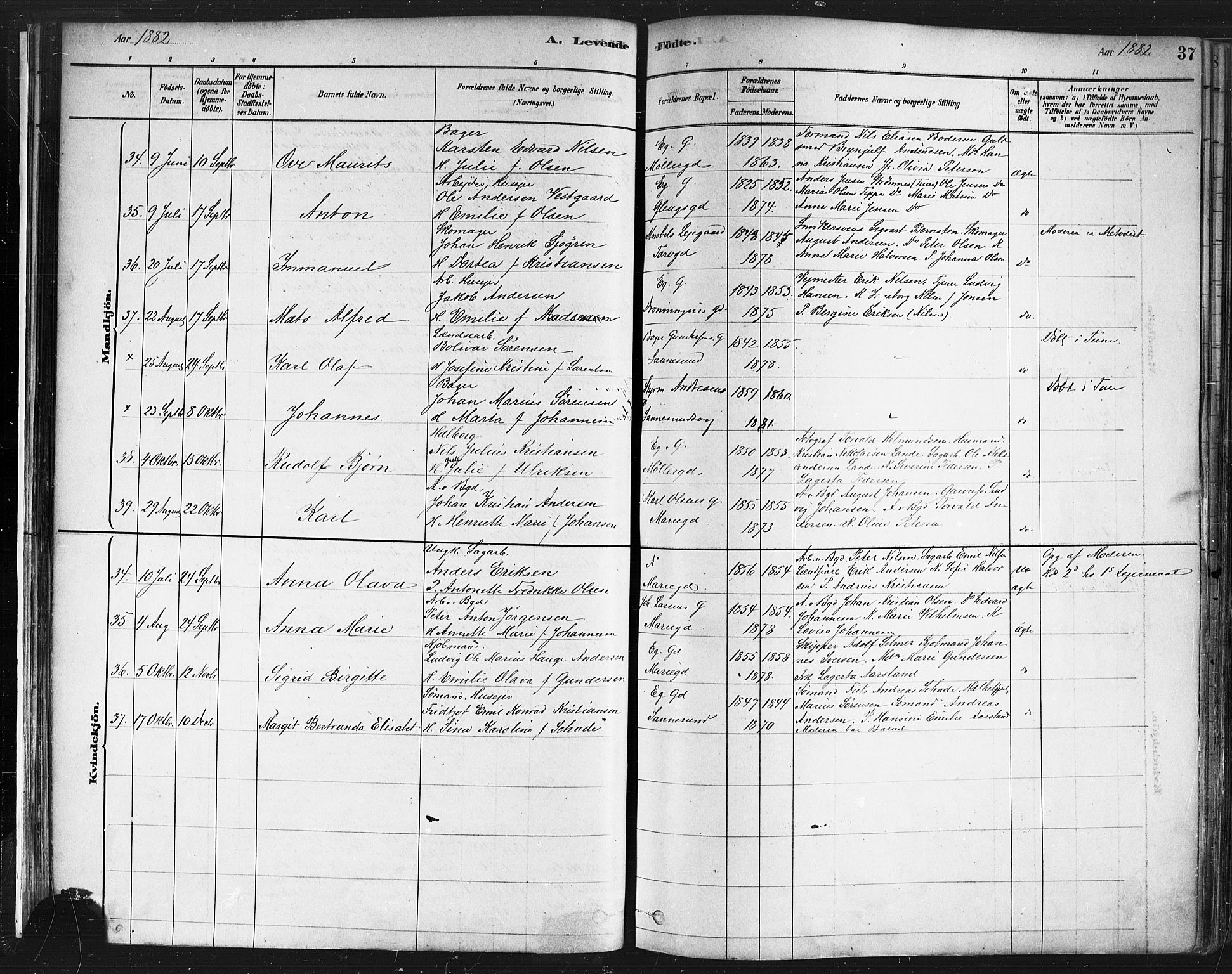 Sarpsborg prestekontor Kirkebøker, SAO/A-2006/F/Fa/L0003: Parish register (official) no. 3, 1878-1891, p. 37