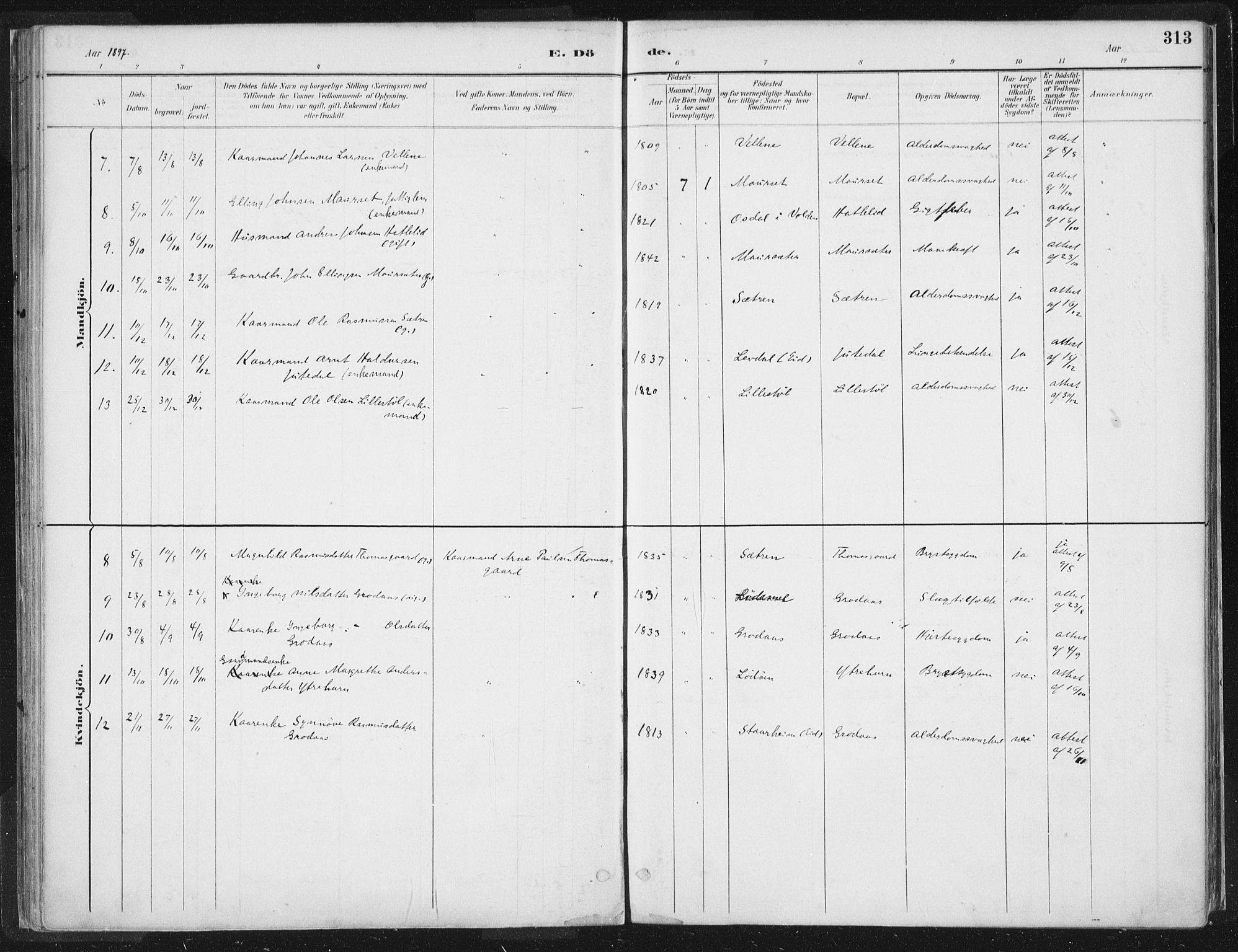 Hornindal sokneprestembete, AV/SAB-A-82401/H/Haa/Haaa/L0003/0002: Parish register (official) no. A 3B, 1885-1917, p. 313