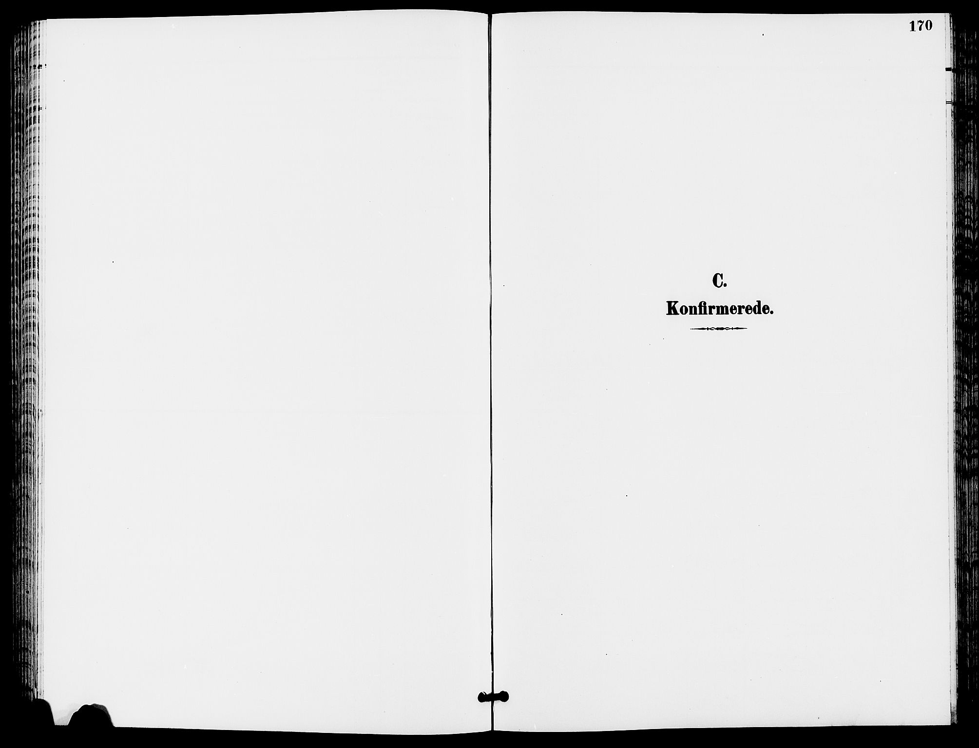 Trysil prestekontor, SAH/PREST-046/H/Ha/Hab/L0006: Parish register (copy) no. 6, 1896-1912, p. 170