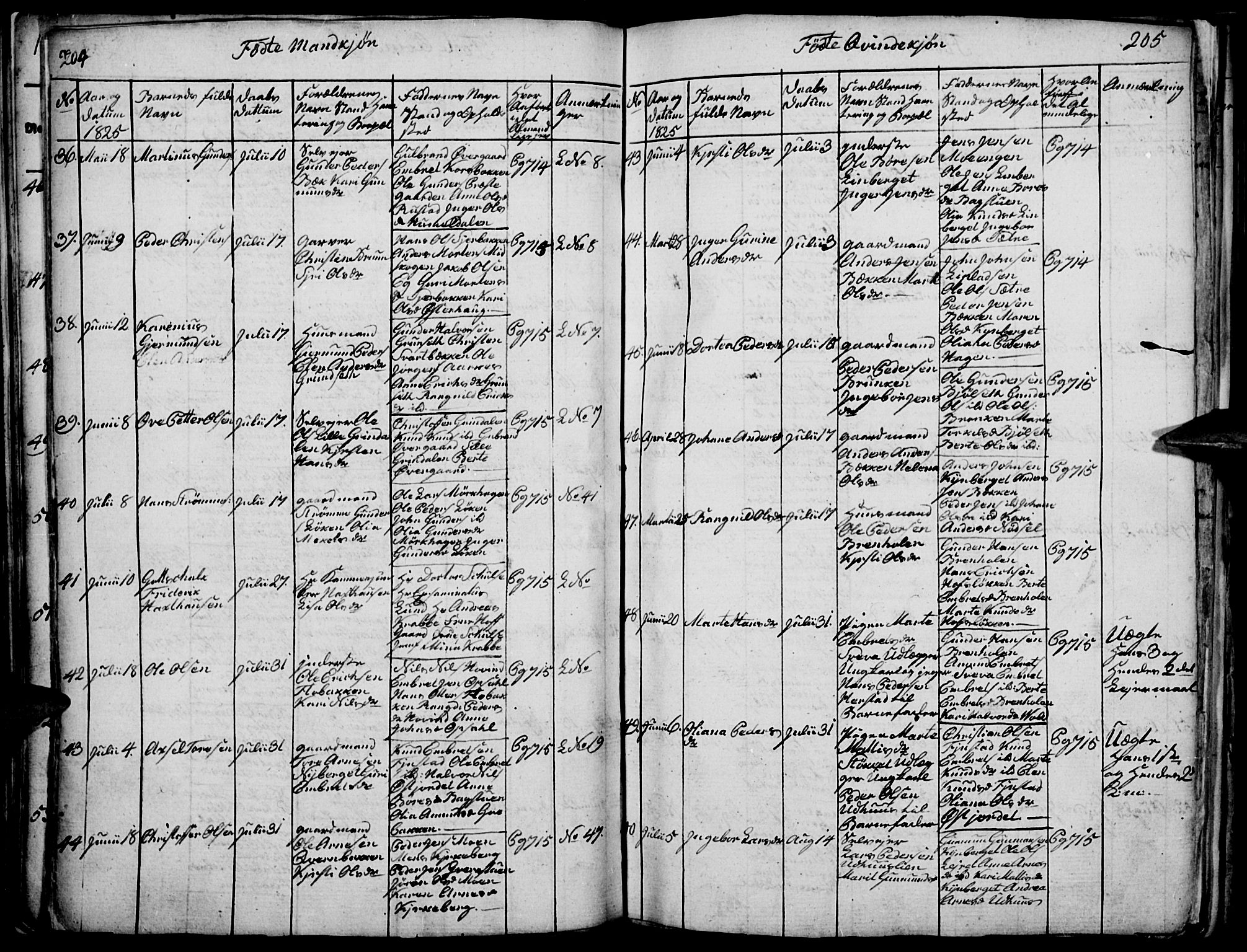 Elverum prestekontor, AV/SAH-PREST-044/H/Ha/Haa/L0007: Parish register (official) no. 7, 1815-1830, p. 204-205