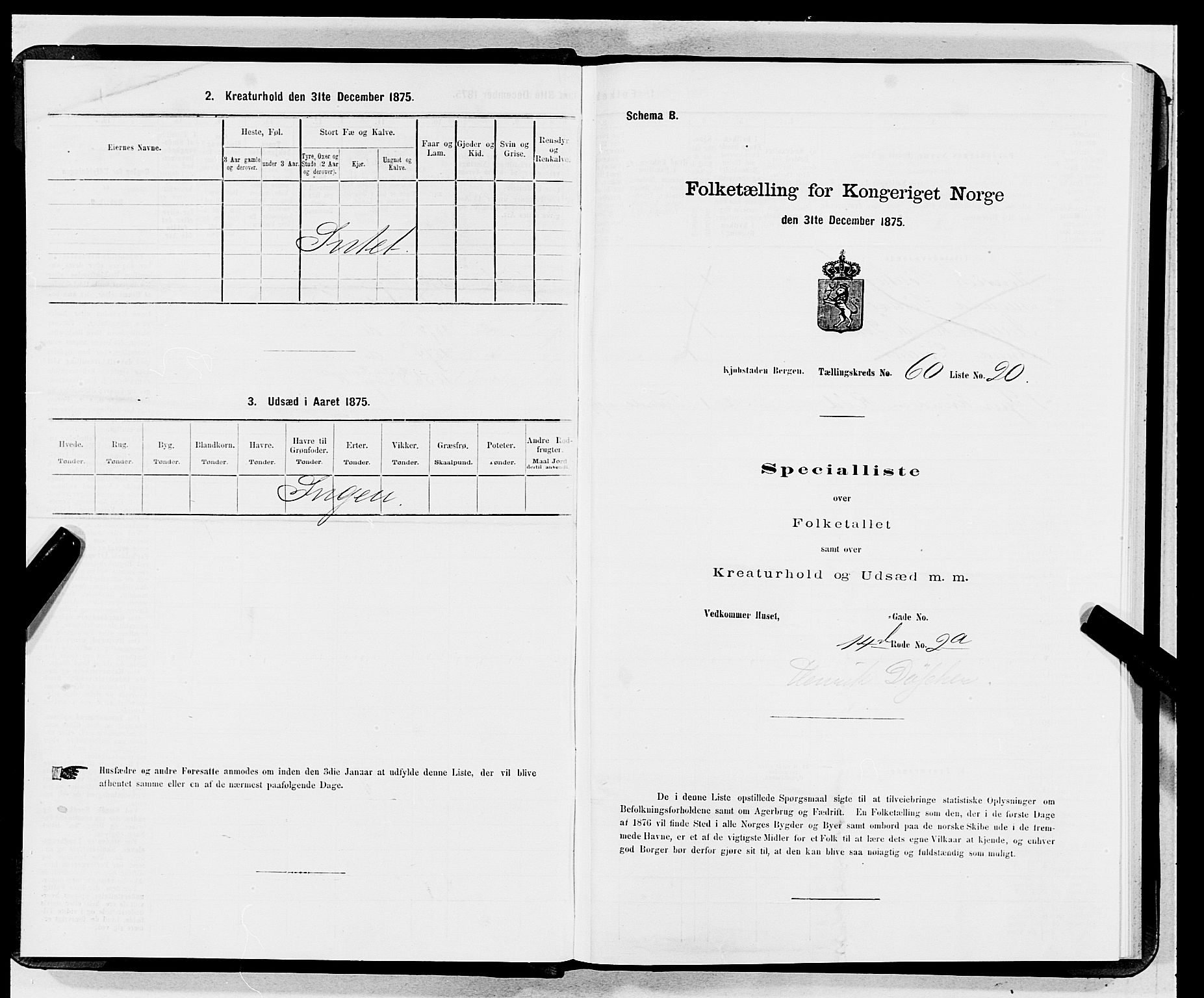 SAB, 1875 census for 1301 Bergen, 1875, p. 3217