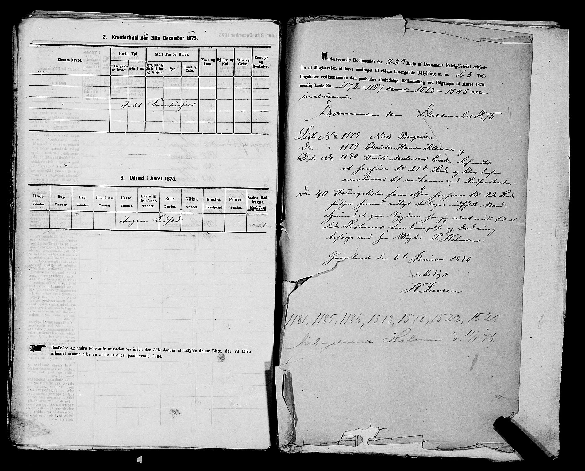 SAKO, 1875 census for 0602 Drammen, 1875, p. 2249