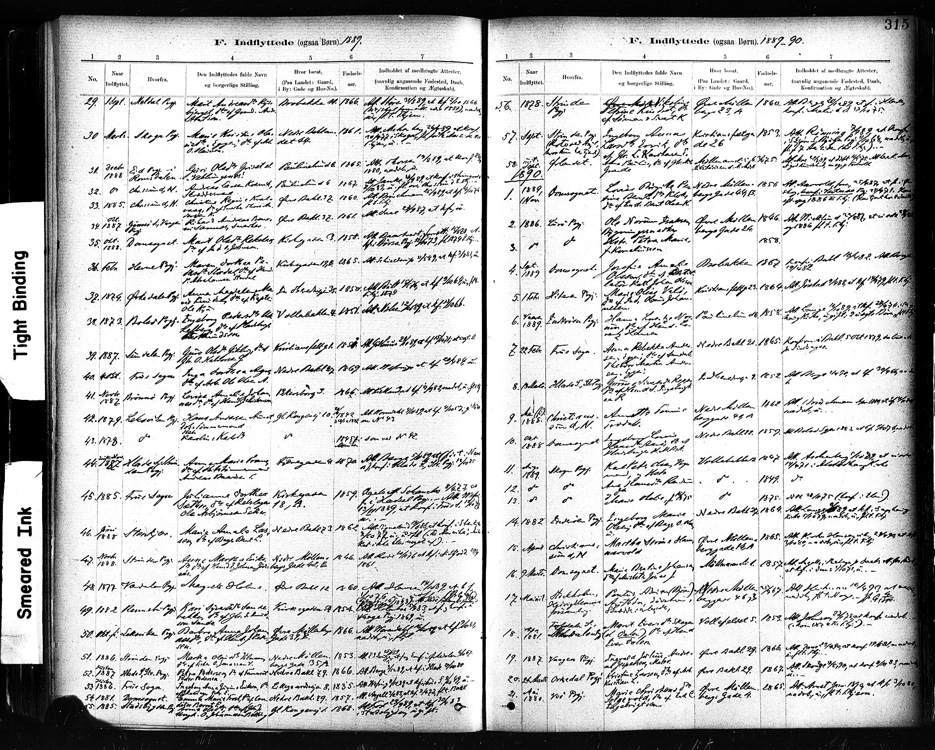 Ministerialprotokoller, klokkerbøker og fødselsregistre - Sør-Trøndelag, AV/SAT-A-1456/604/L0189: Parish register (official) no. 604A10, 1878-1892, p. 315