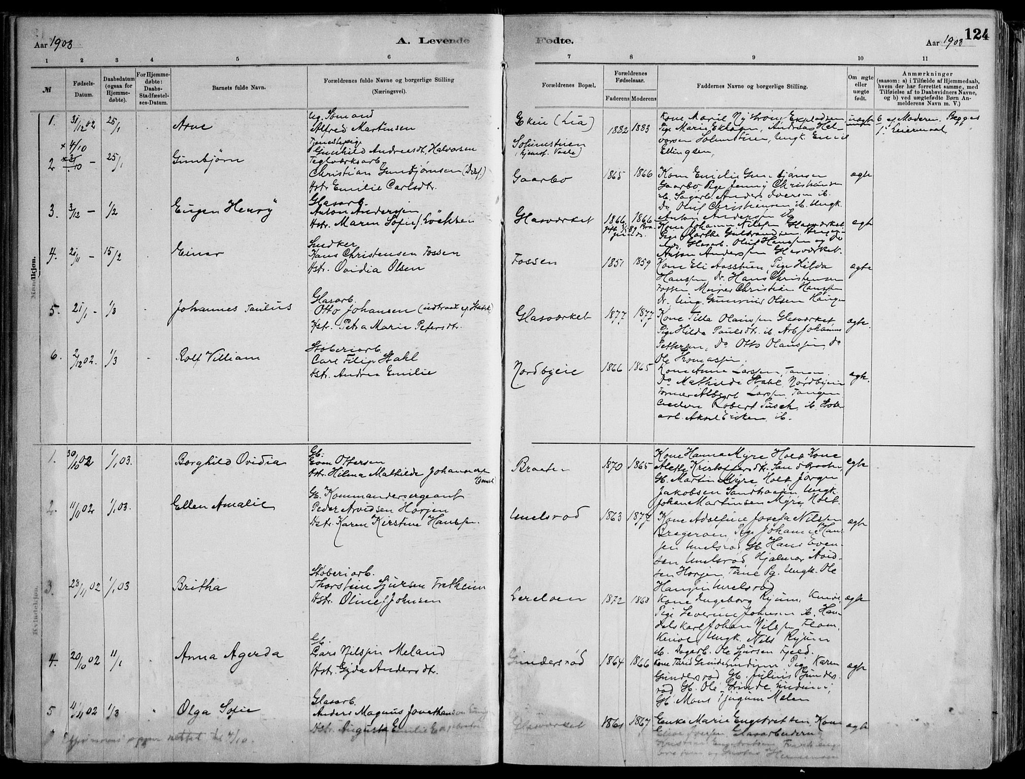 Skoger kirkebøker, AV/SAKO-A-59/F/Fa/L0006: Parish register (official) no. I 6, 1885-1910, p. 124