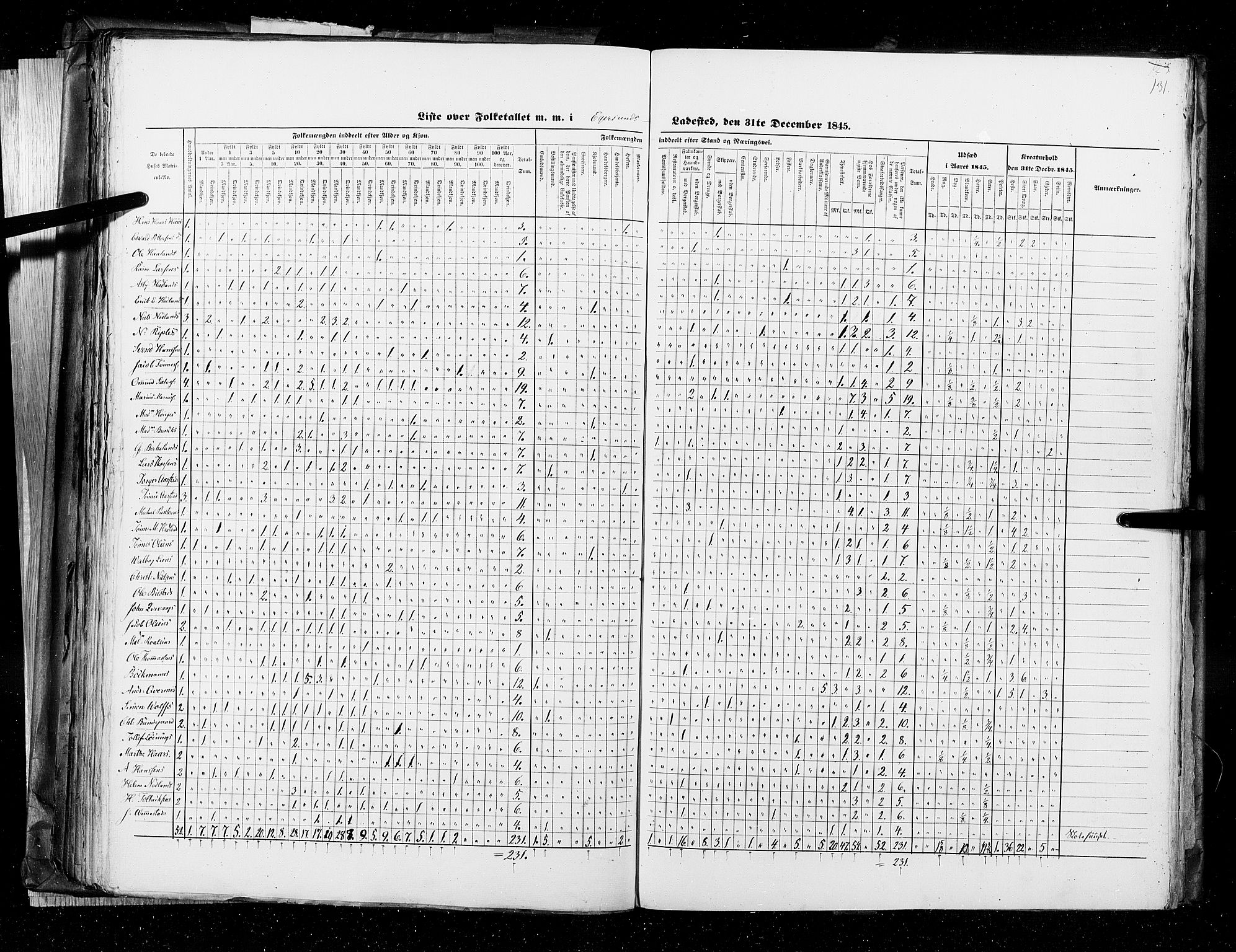 RA, Census 1845, vol. 11: Cities, 1845, p. 131