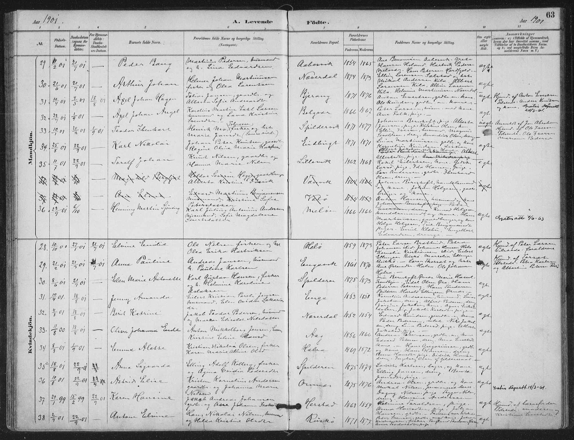 Ministerialprotokoller, klokkerbøker og fødselsregistre - Nordland, SAT/A-1459/843/L0628: Parish register (official) no. 843A03, 1889-1907, p. 63
