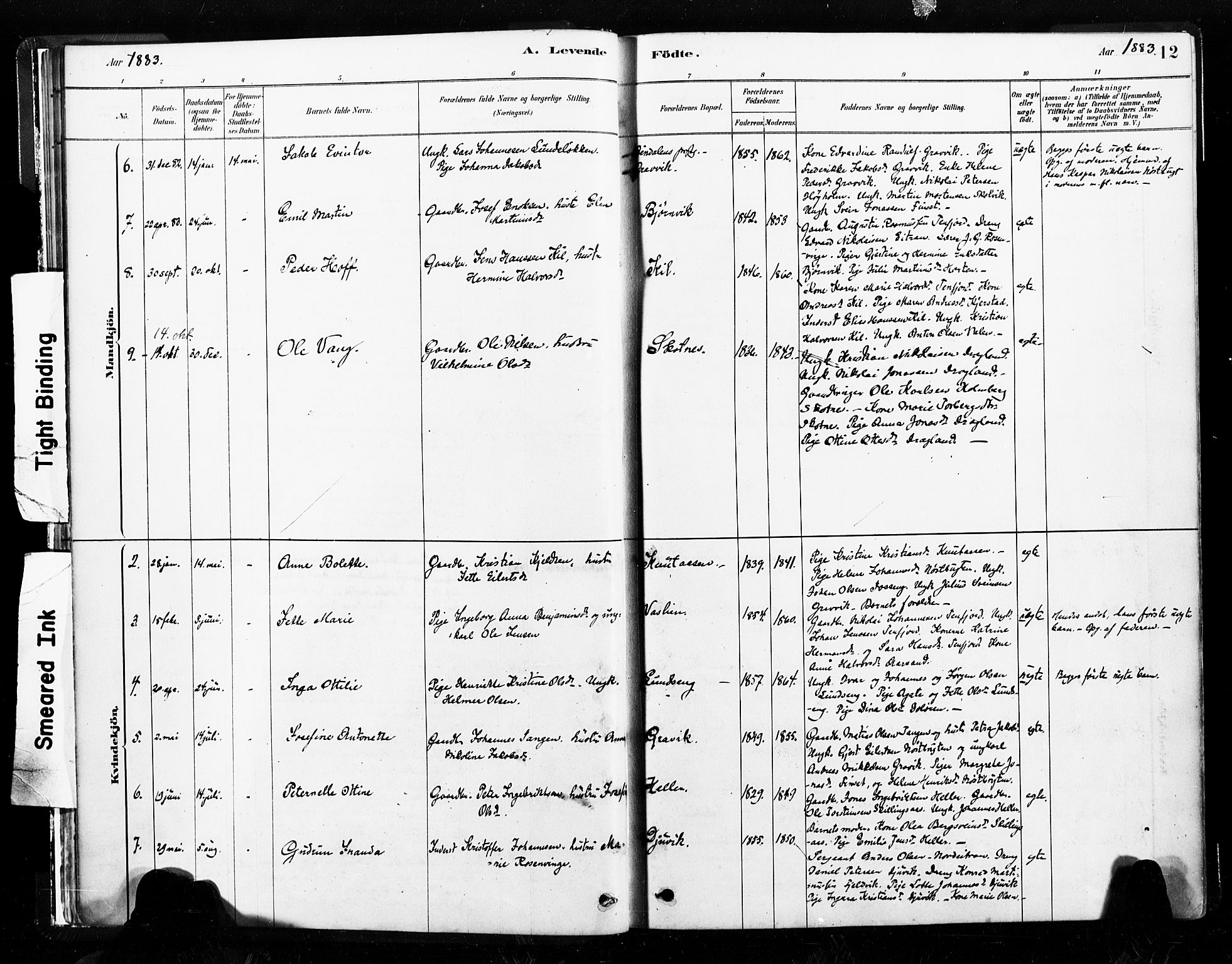 Ministerialprotokoller, klokkerbøker og fødselsregistre - Nord-Trøndelag, SAT/A-1458/789/L0705: Parish register (official) no. 789A01, 1878-1910, p. 12
