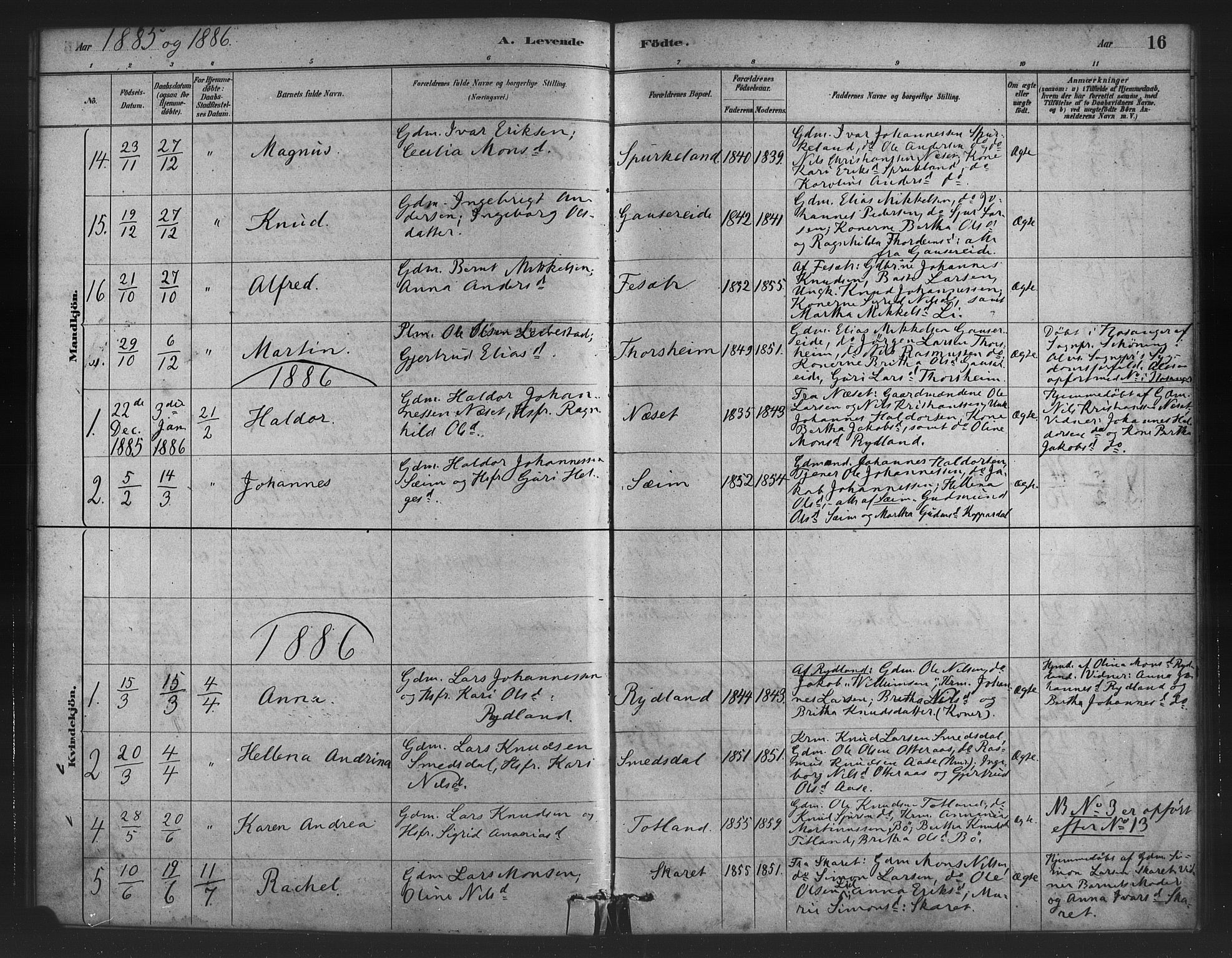 Alversund Sokneprestembete, AV/SAB-A-73901/H/Ha/Haa/Haad/L0001: Parish register (official) no. D 1, 1880-1898, p. 16