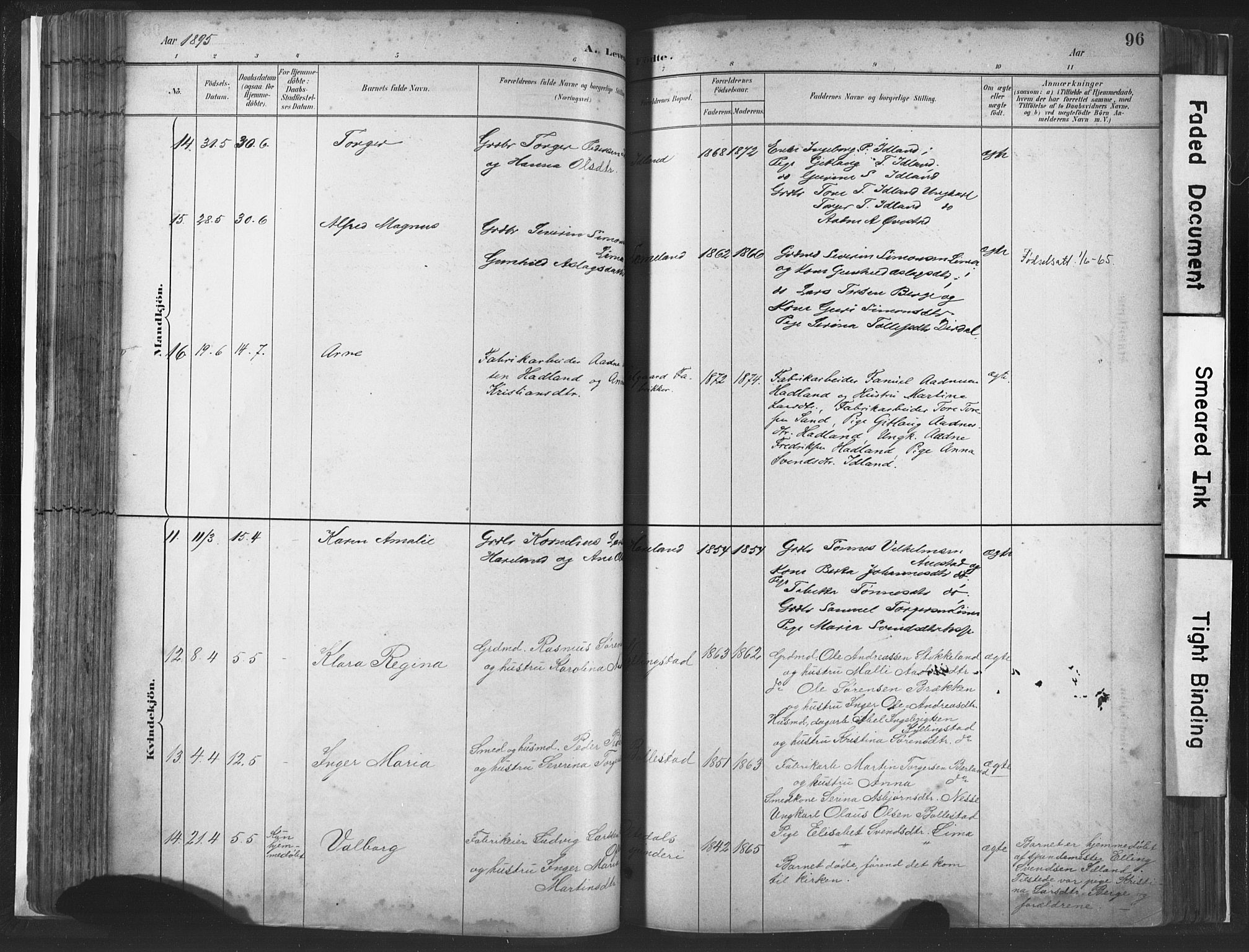 Lye sokneprestkontor, AV/SAST-A-101794/001/30BA/L0010: Parish register (official) no. A 10, 1881-1896, p. 96