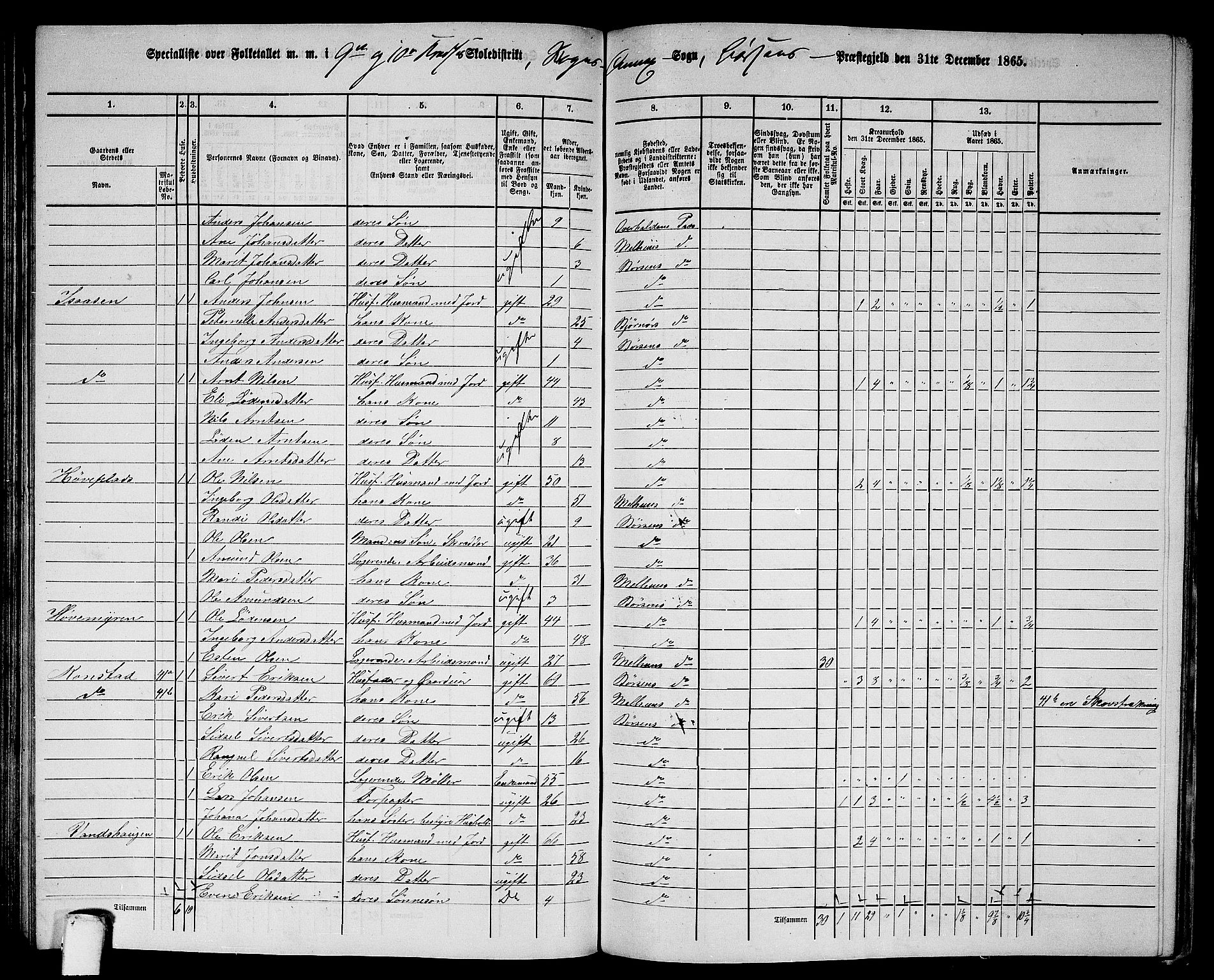 RA, 1865 census for Børsa, 1865, p. 112