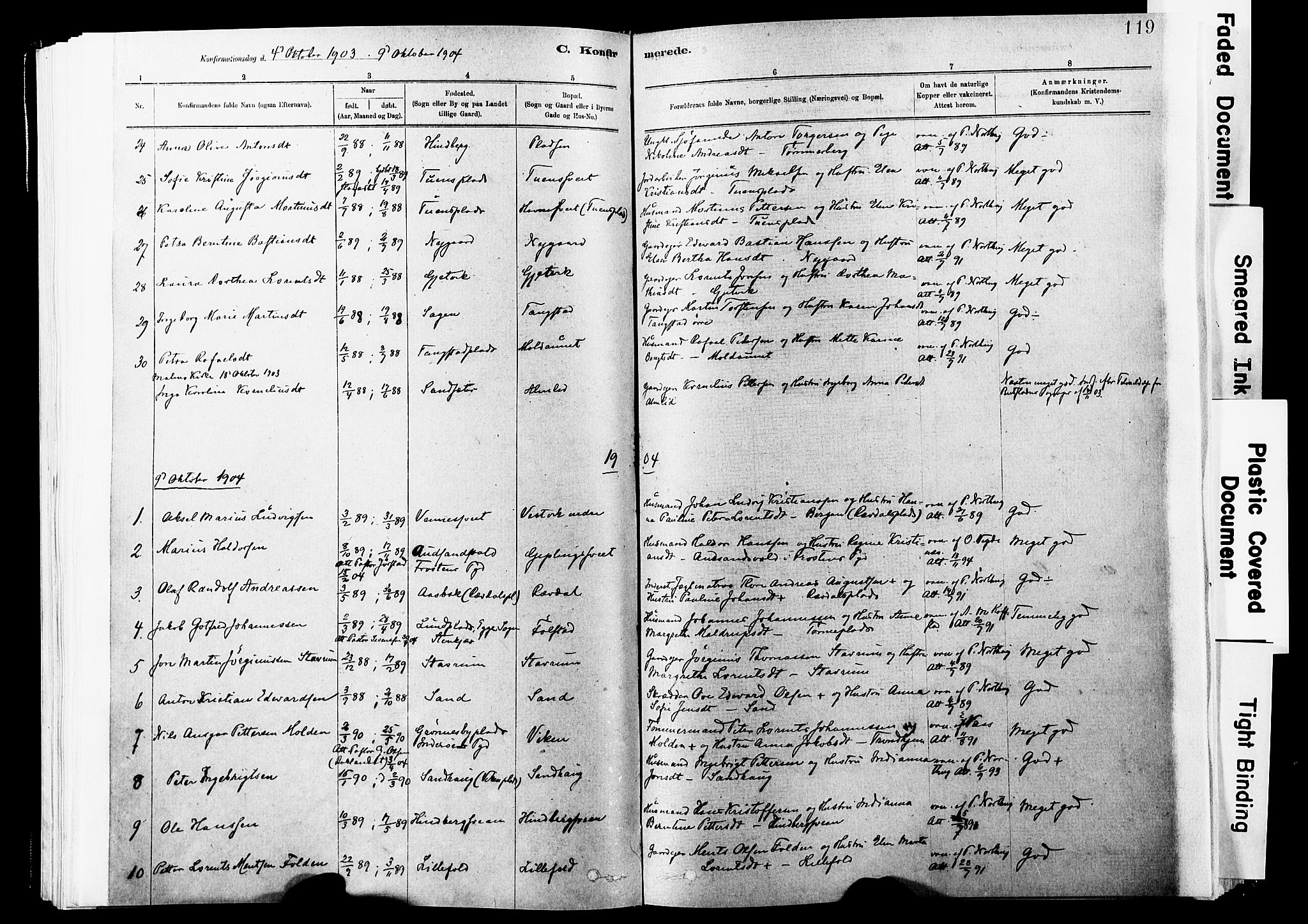 Ministerialprotokoller, klokkerbøker og fødselsregistre - Nord-Trøndelag, AV/SAT-A-1458/744/L0420: Parish register (official) no. 744A04, 1882-1904, p. 119