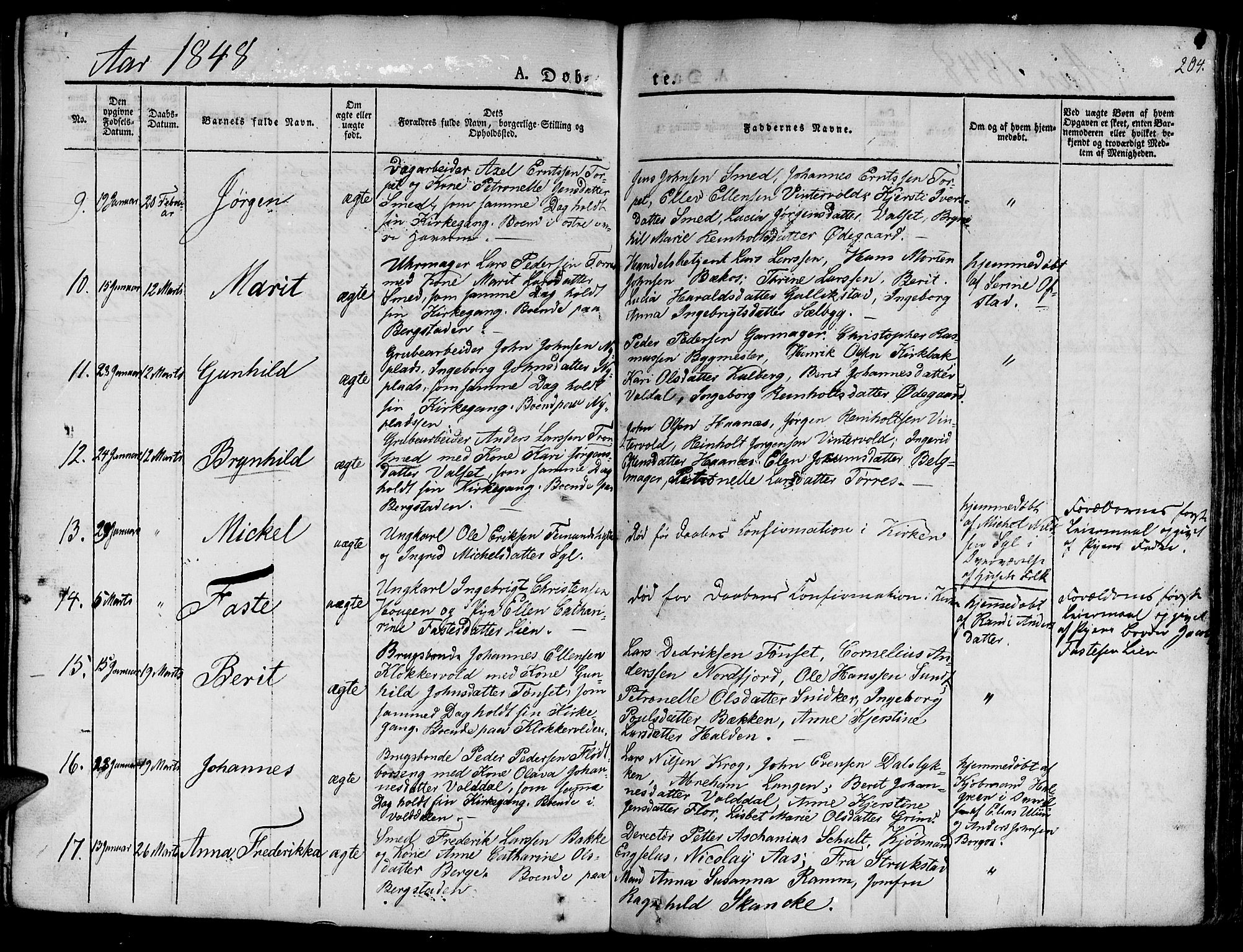 Ministerialprotokoller, klokkerbøker og fødselsregistre - Sør-Trøndelag, SAT/A-1456/681/L0938: Parish register (copy) no. 681C02, 1829-1879, p. 204