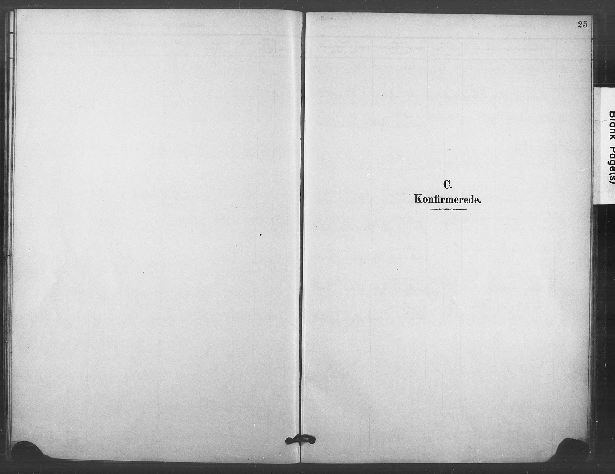 Kongsberg kirkebøker, SAKO/A-22/F/Fc/L0001: Parish register (official) no. III 1, 1883-1897, p. 25