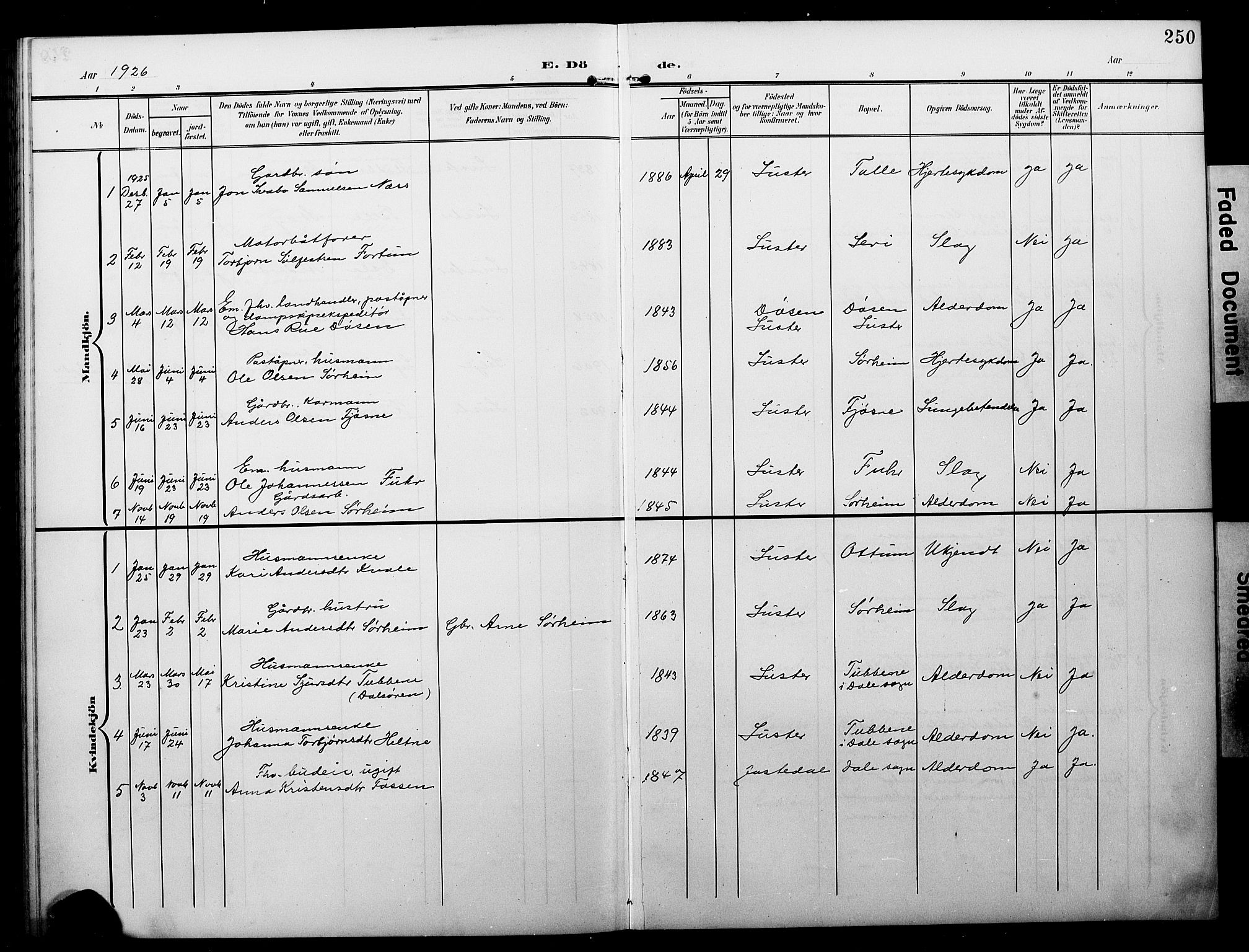 Luster sokneprestembete, AV/SAB-A-81101/H/Hab/Haba/L0001: Parish register (copy) no. A 1, 1903-1930, p. 250