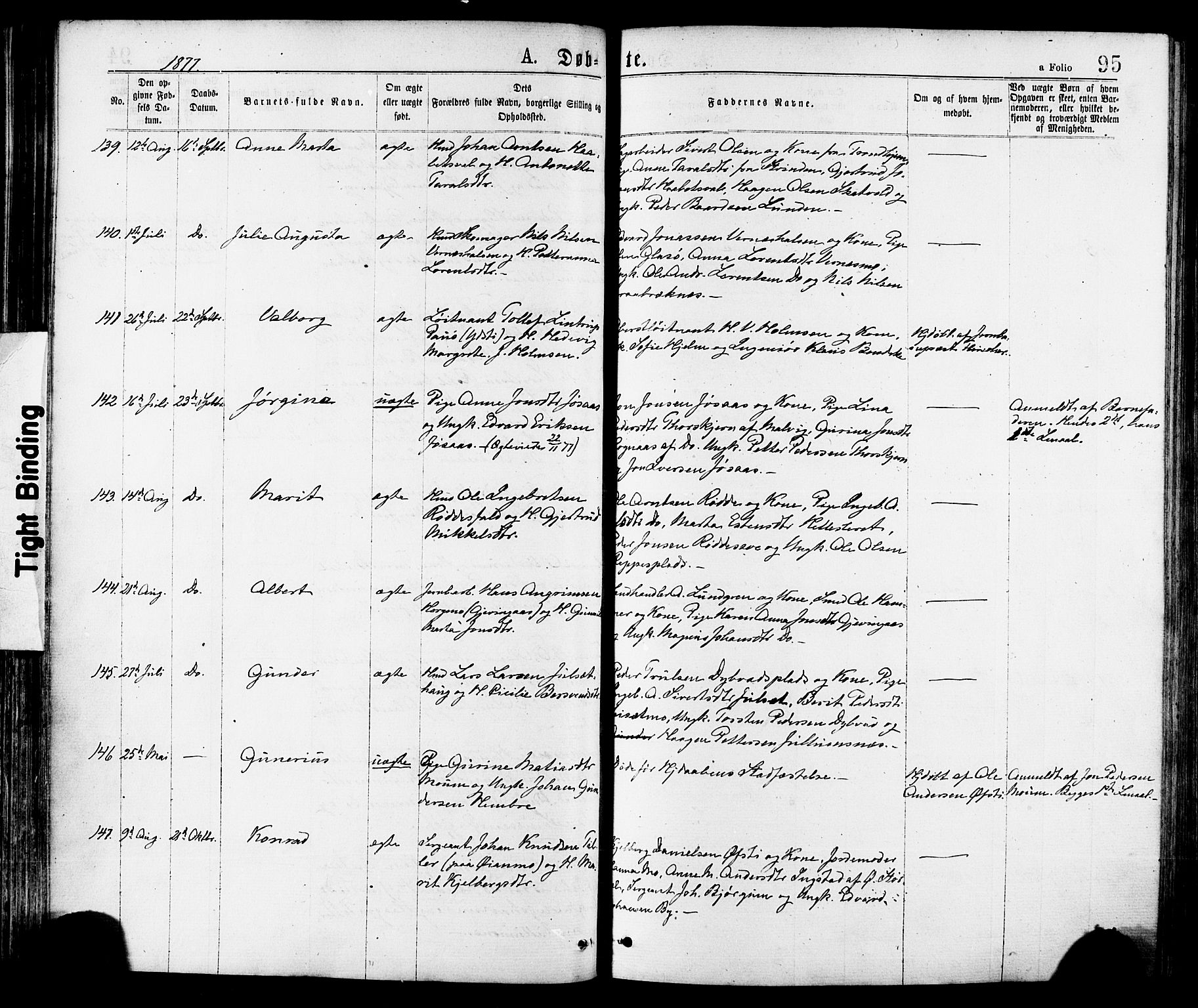 Ministerialprotokoller, klokkerbøker og fødselsregistre - Nord-Trøndelag, AV/SAT-A-1458/709/L0076: Parish register (official) no. 709A16, 1871-1879, p. 95