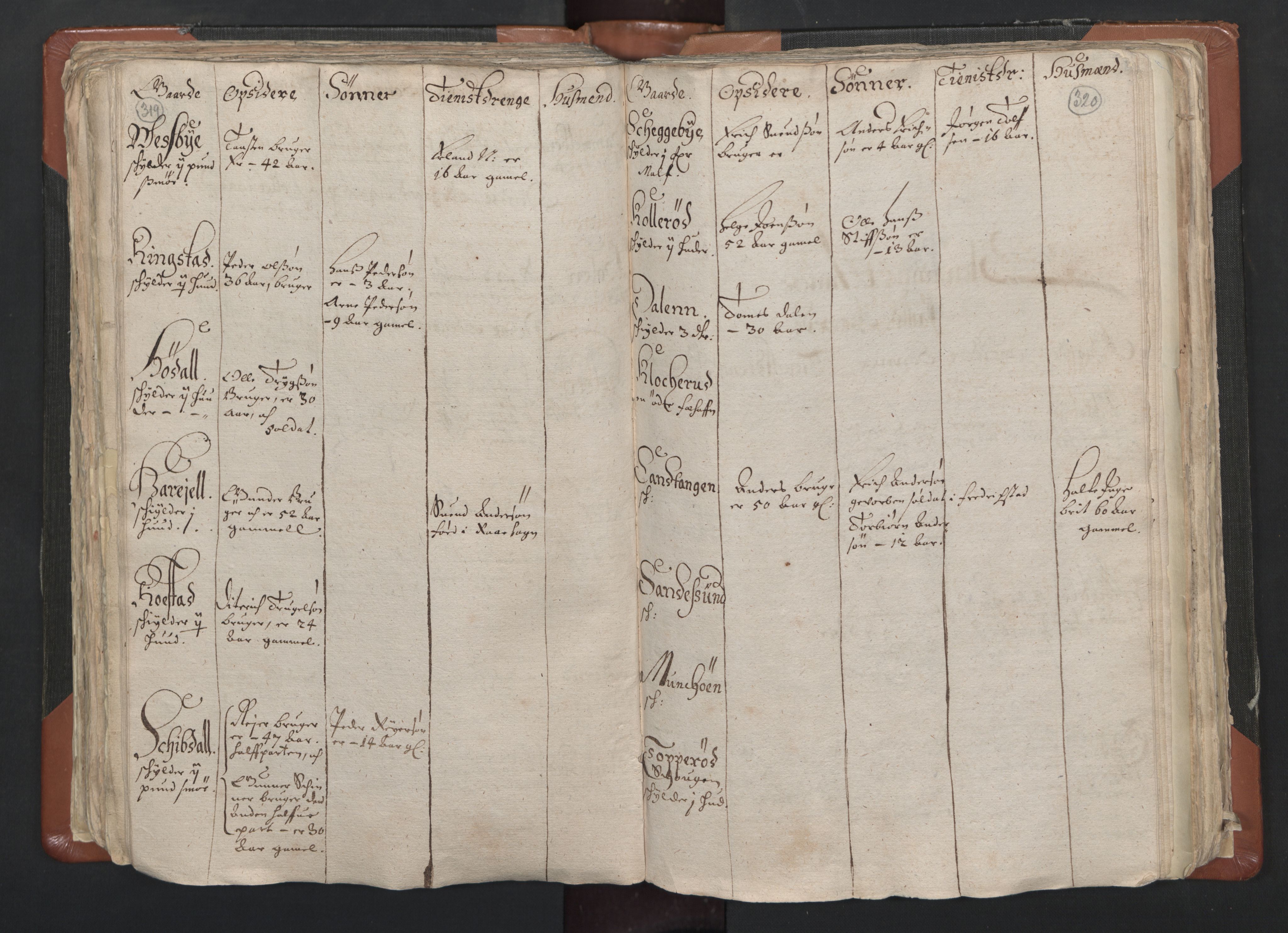 RA, Vicar's Census 1664-1666, no. 1: Nedre Borgesyssel deanery, 1664-1666, p. 319-320