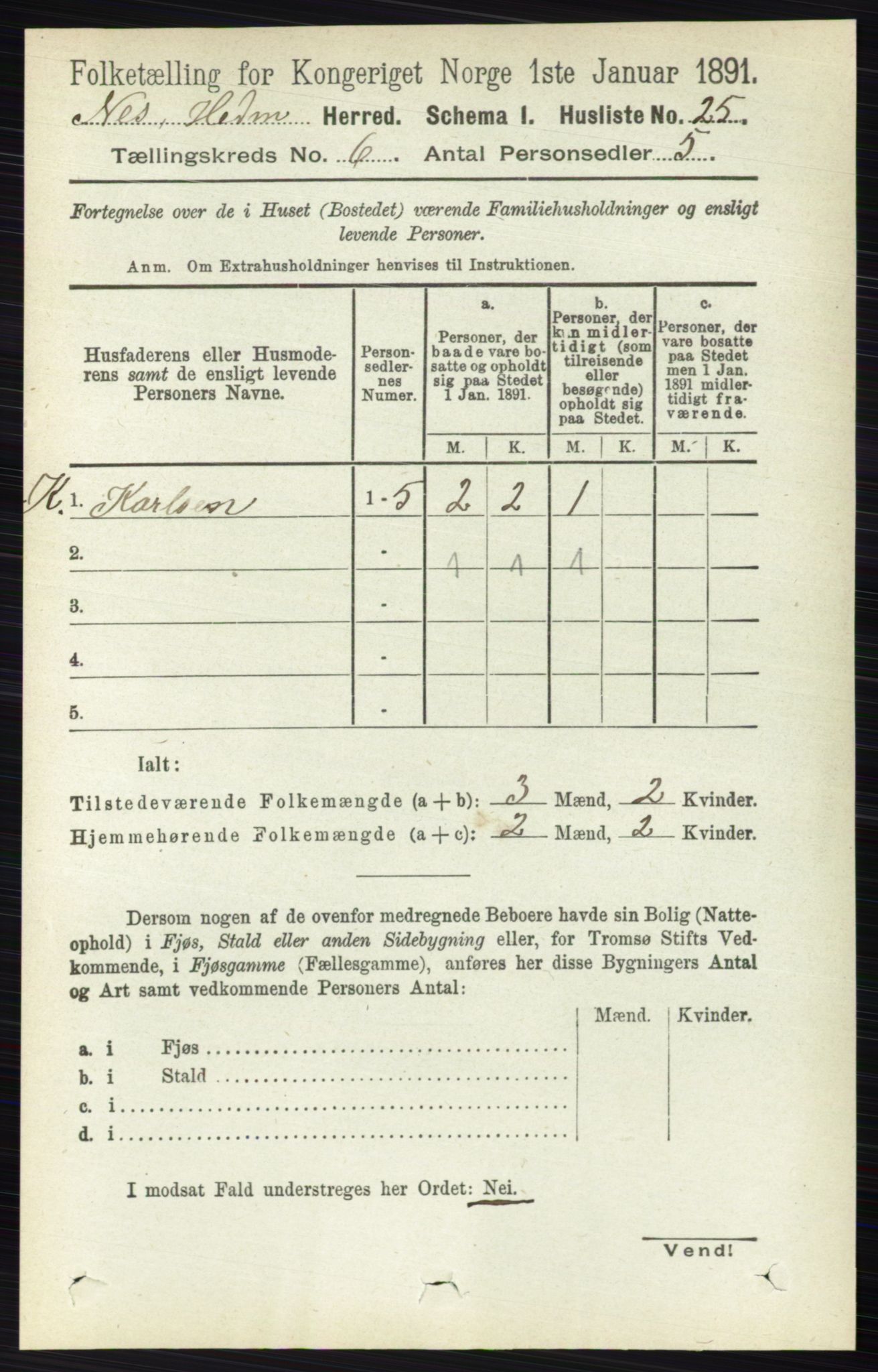 RA, 1891 census for 0411 Nes, 1891, p. 3193