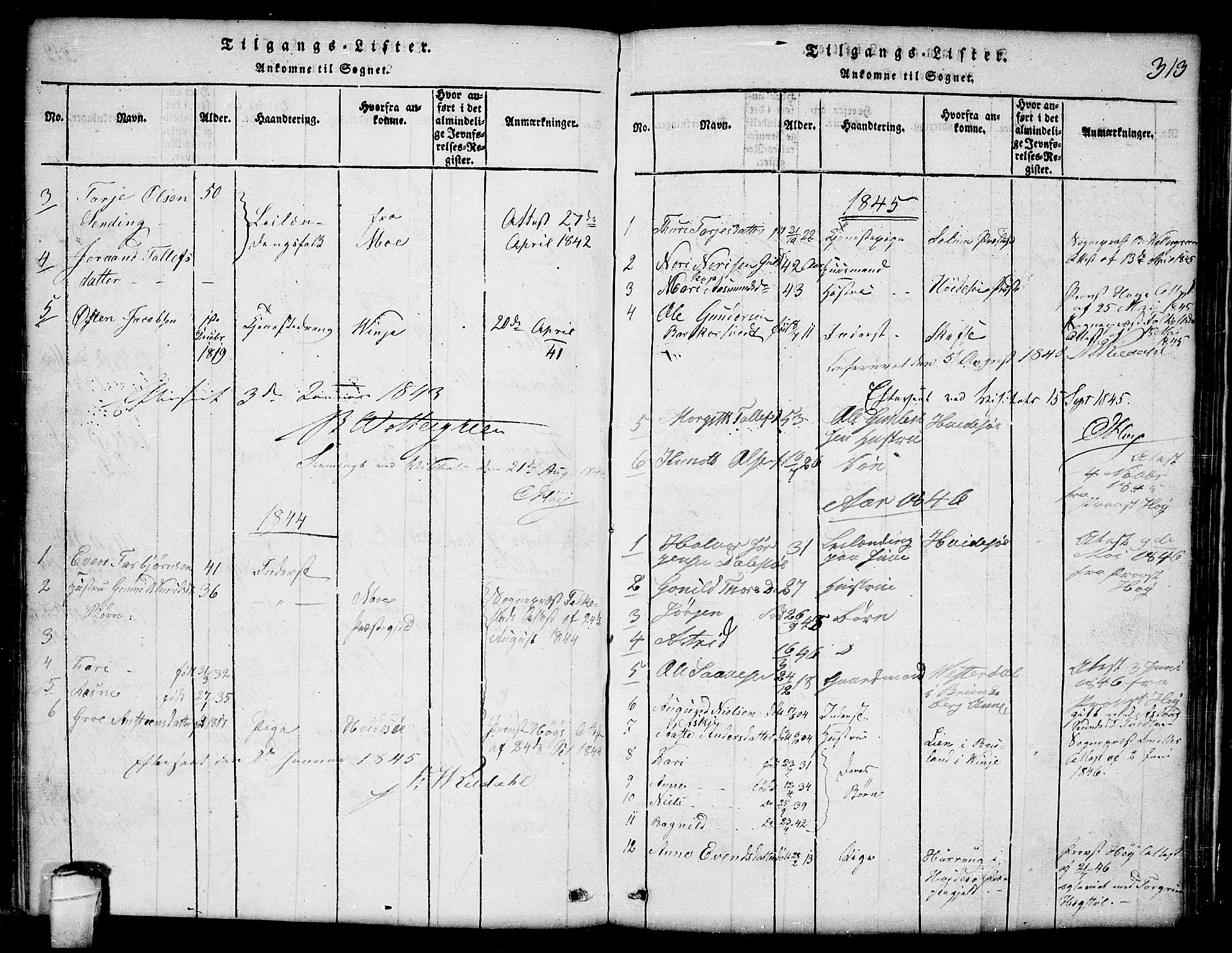 Lårdal kirkebøker, SAKO/A-284/G/Ga/L0001: Parish register (copy) no. I 1, 1815-1861, p. 313