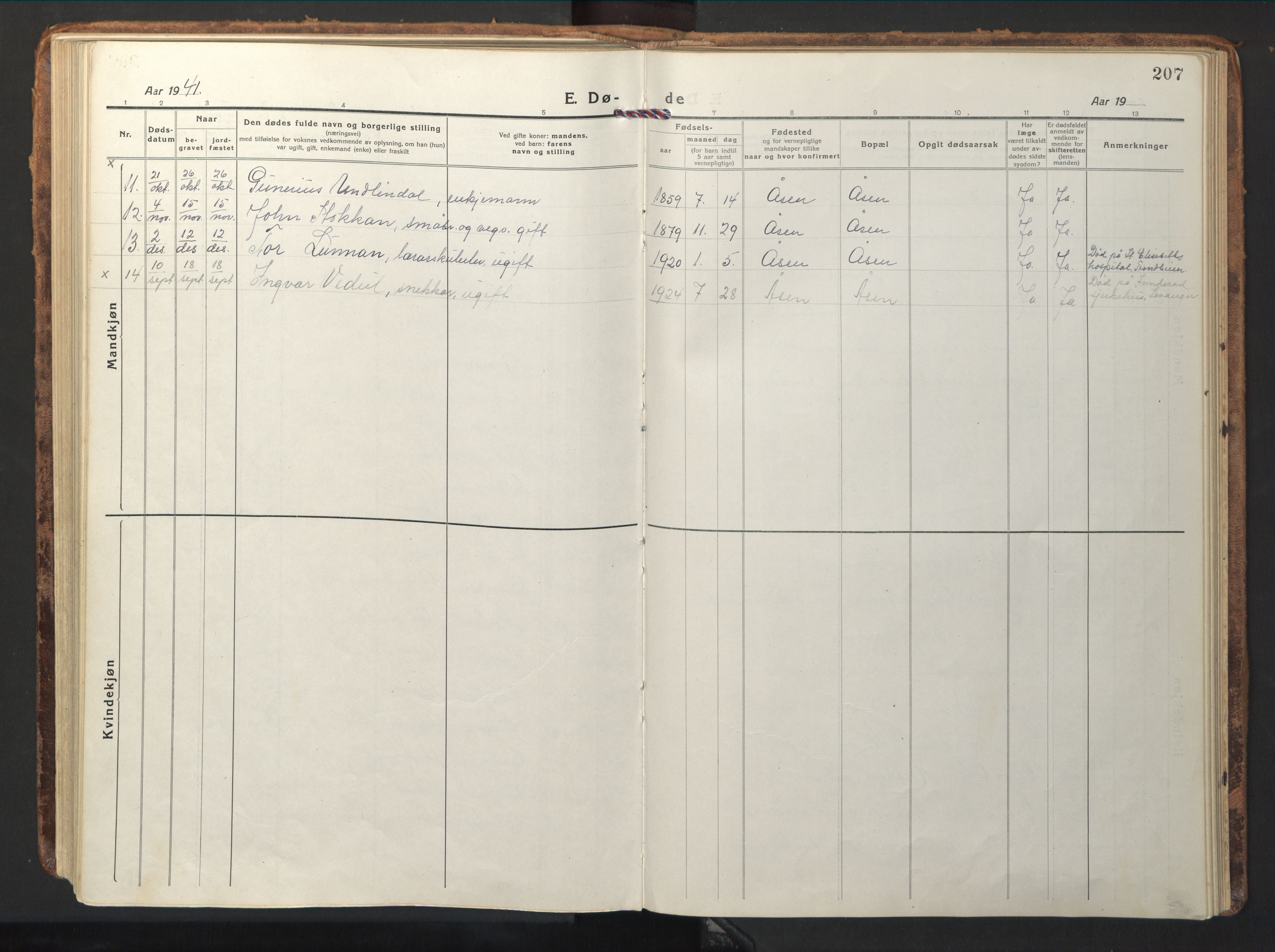 Ministerialprotokoller, klokkerbøker og fødselsregistre - Nord-Trøndelag, AV/SAT-A-1458/714/L0136: Parish register (copy) no. 714C05, 1918-1957, p. 207