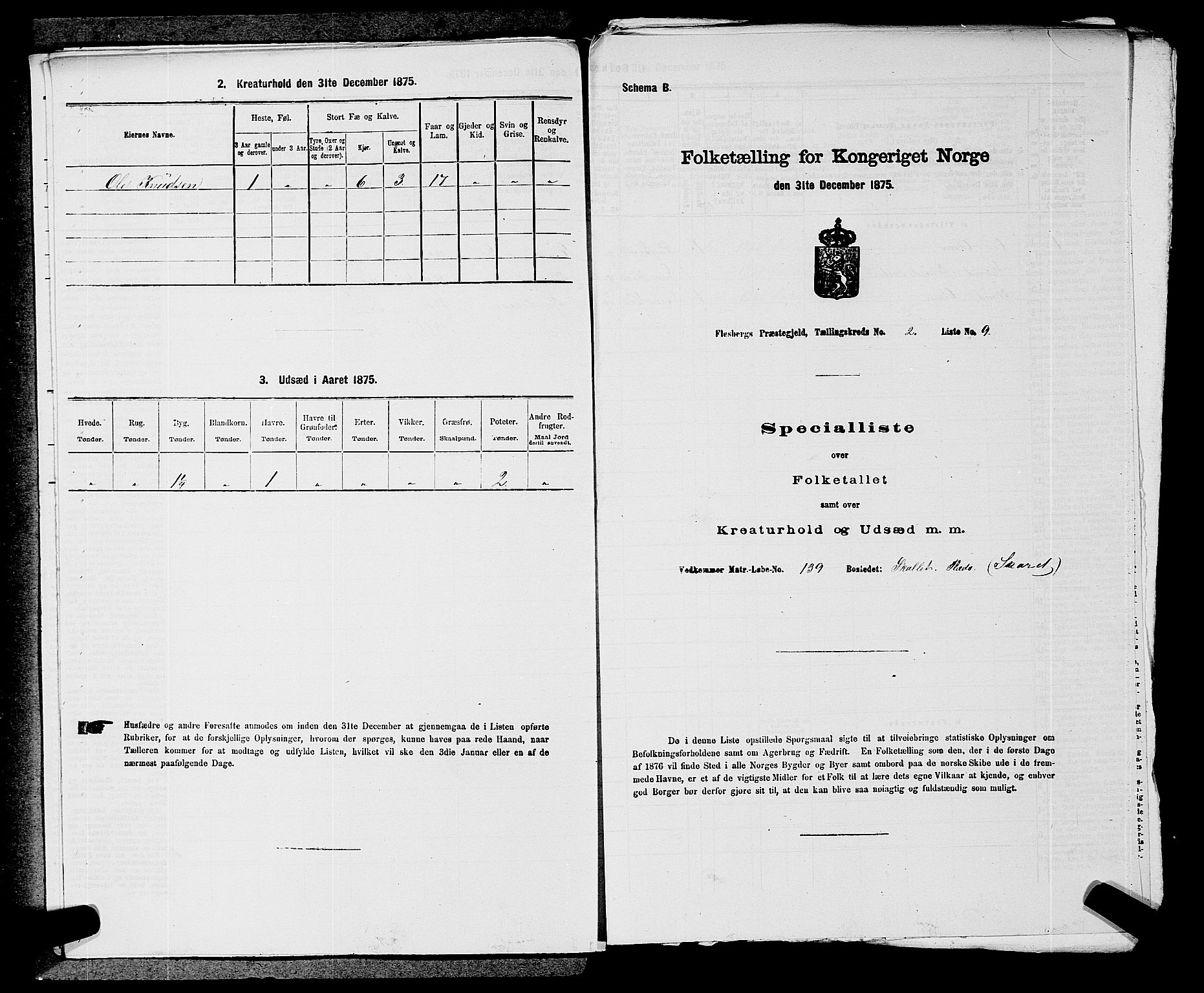 SAKO, 1875 census for 0631P Flesberg, 1875, p. 477