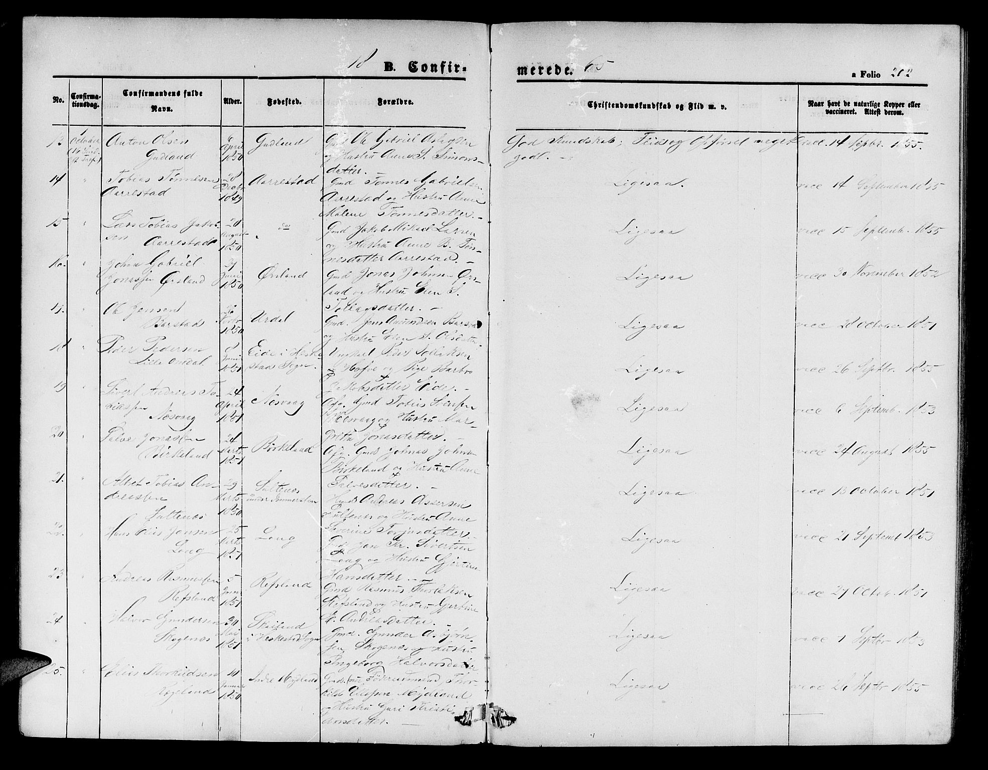 Sokndal sokneprestkontor, AV/SAST-A-101808: Parish register (copy) no. B 3, 1865-1879, p. 202