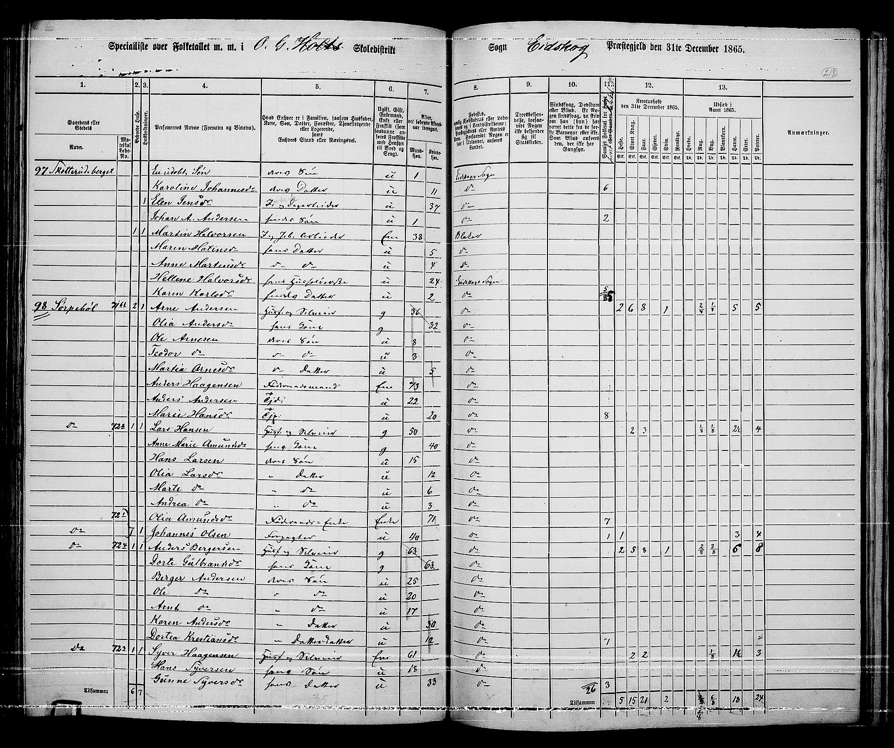 RA, 1865 census for Eidskog, 1865, p. 191