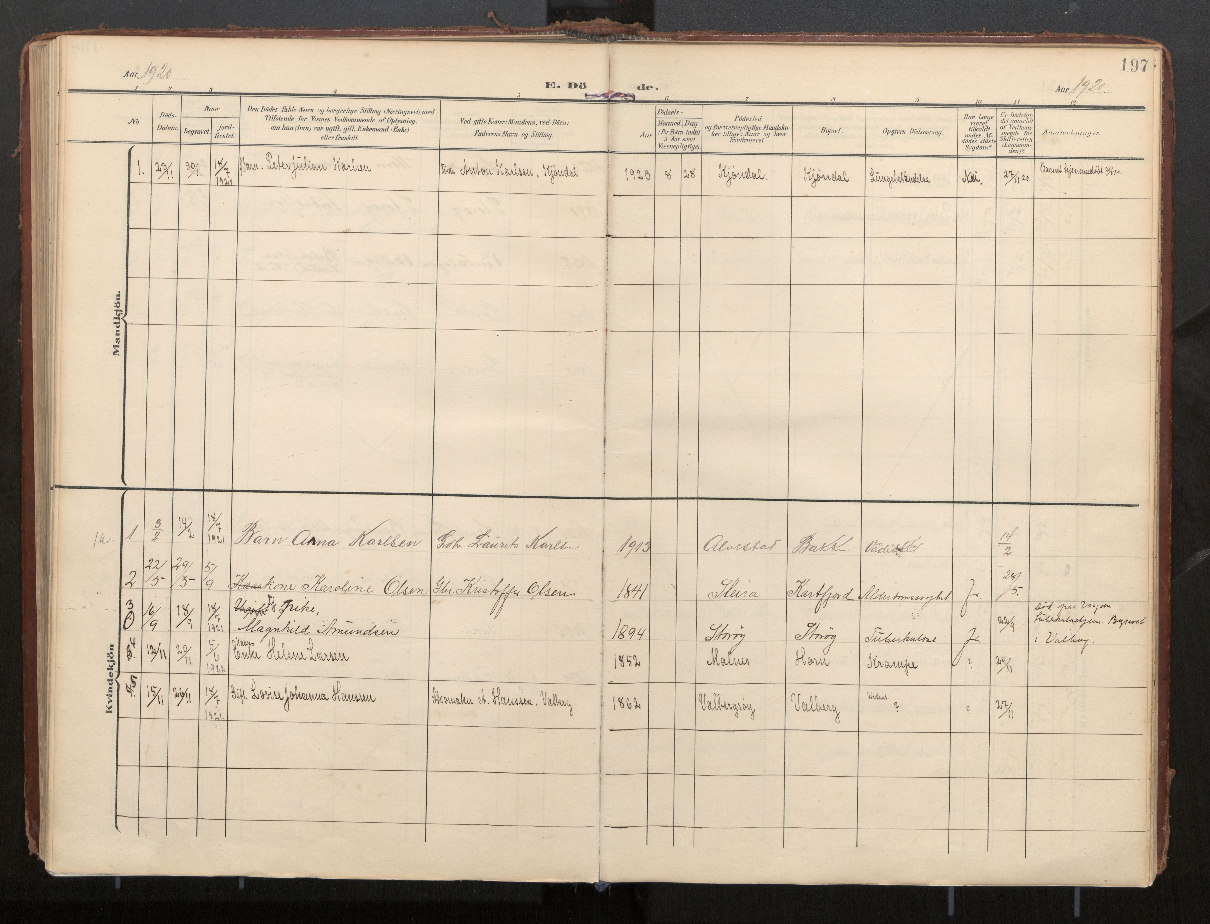 Ministerialprotokoller, klokkerbøker og fødselsregistre - Nordland, SAT/A-1459/884/L1194: Parish register (official) no. 884A02, 1906-1937, p. 197
