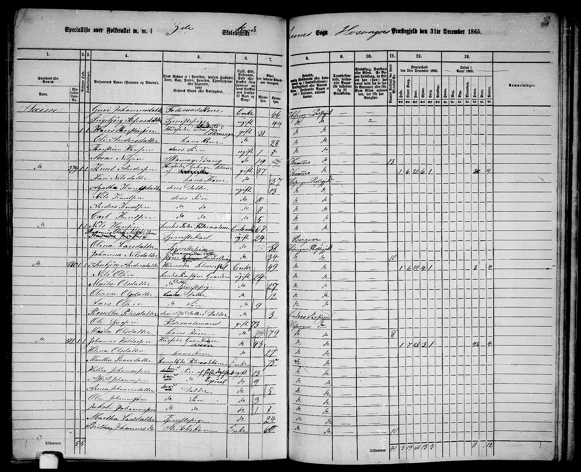 RA, 1865 census for Hosanger, 1865, p. 160