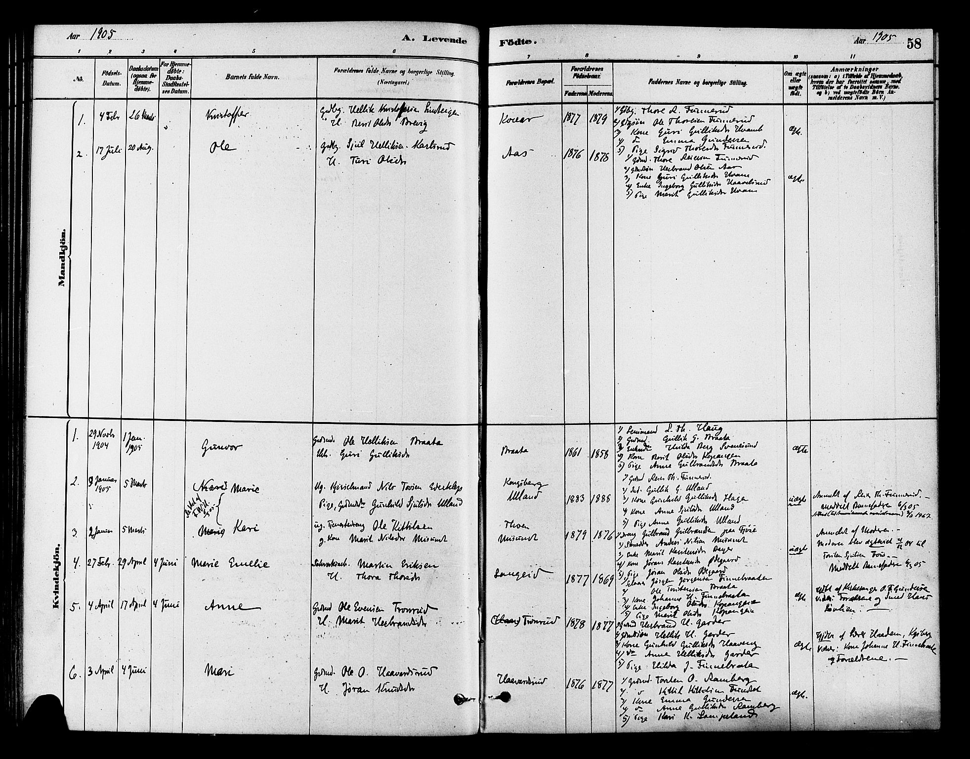 Flesberg kirkebøker, AV/SAKO-A-18/F/Fb/L0001: Parish register (official) no. II 1, 1879-1907, p. 58