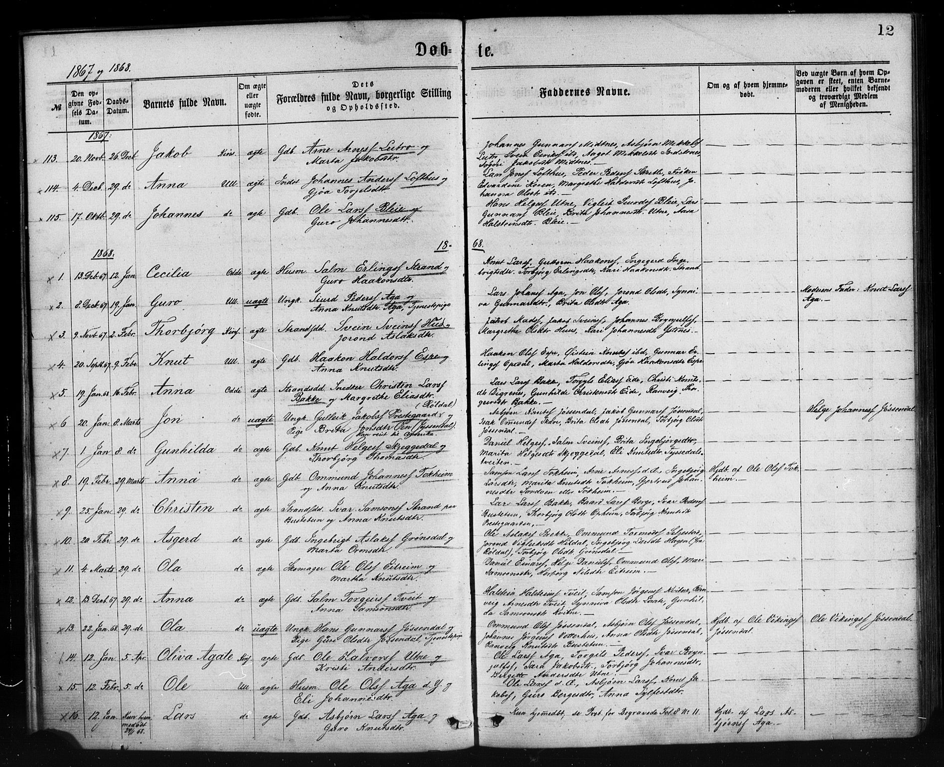 Ullensvang sokneprestembete, SAB/A-78701/H/Haa: Parish register (official) no. A 12, 1867-1881, p. 12