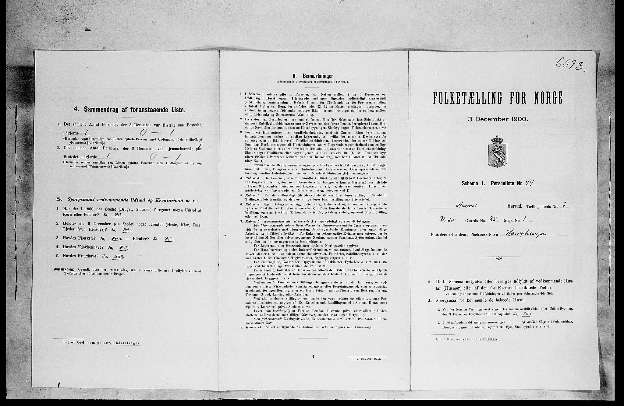 SAH, 1900 census for Åsnes, 1900, p. 506