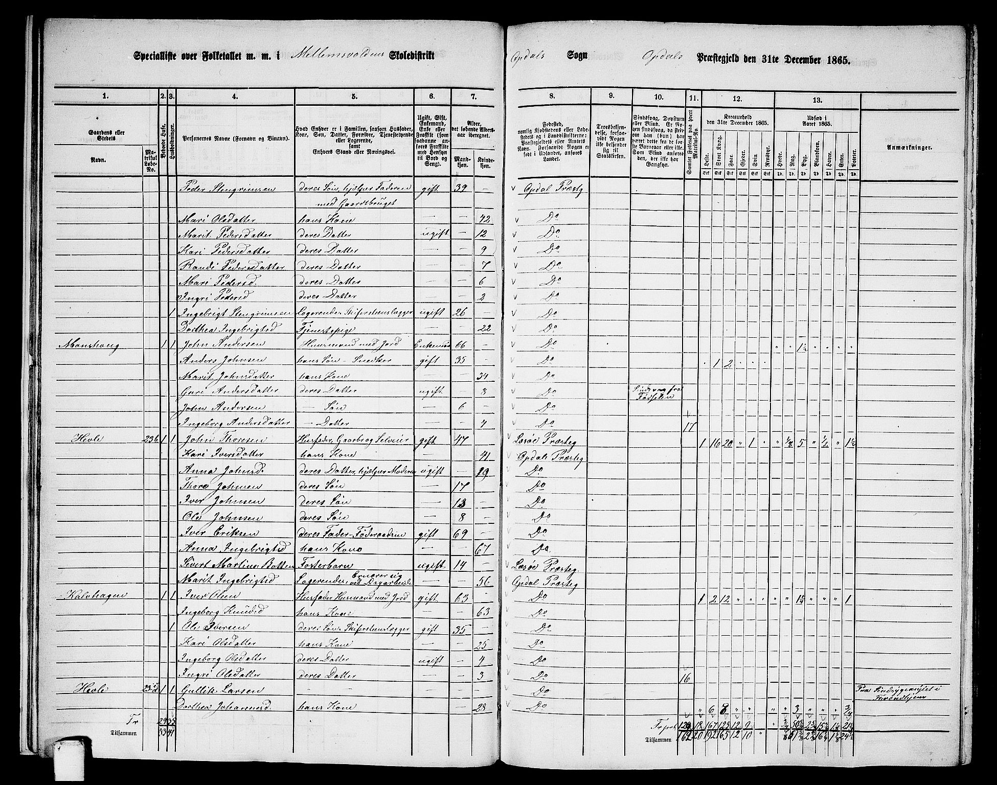 RA, 1865 census for Oppdal, 1865, p. 20