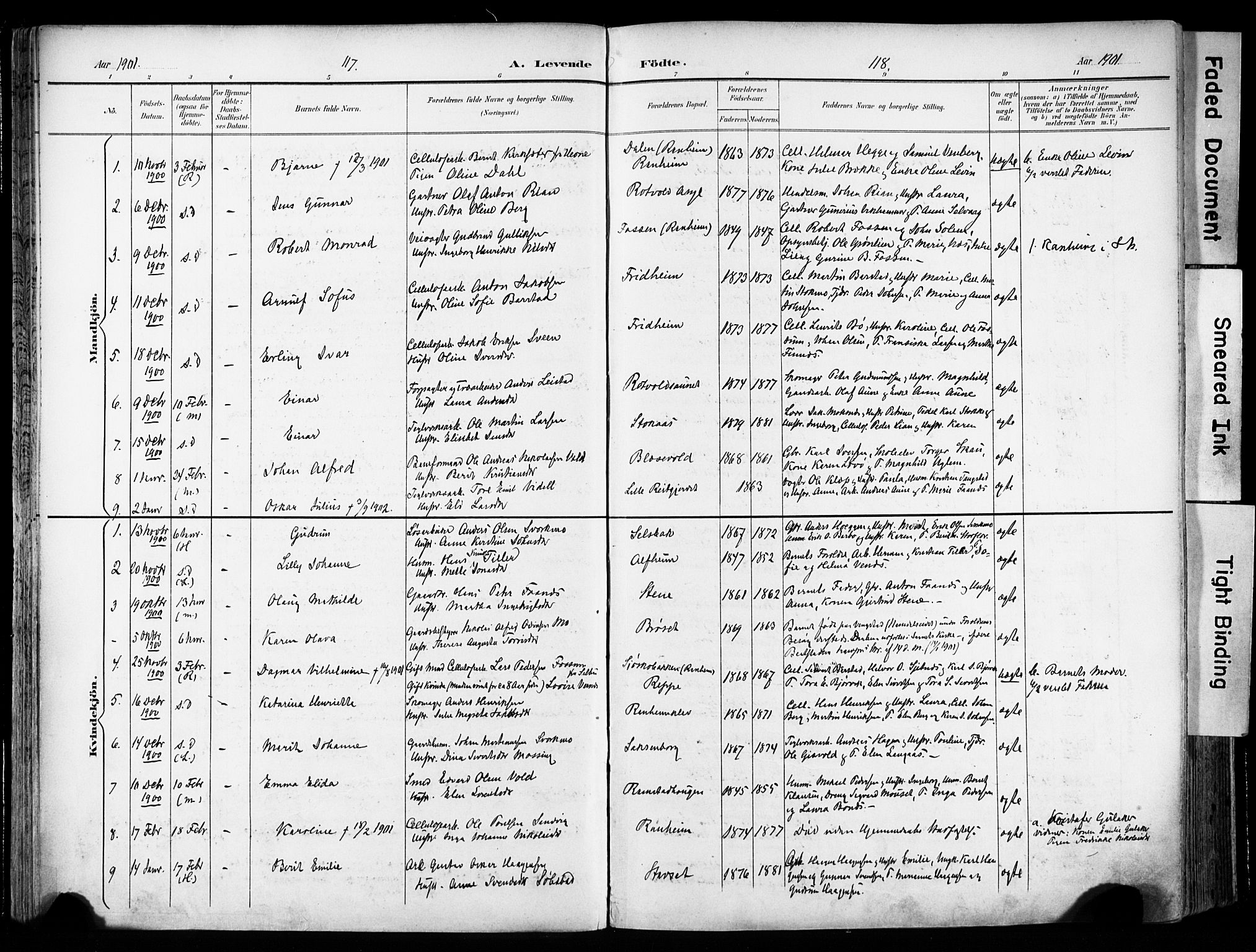 Ministerialprotokoller, klokkerbøker og fødselsregistre - Sør-Trøndelag, AV/SAT-A-1456/606/L0301: Parish register (official) no. 606A16, 1894-1907, p. 117-118