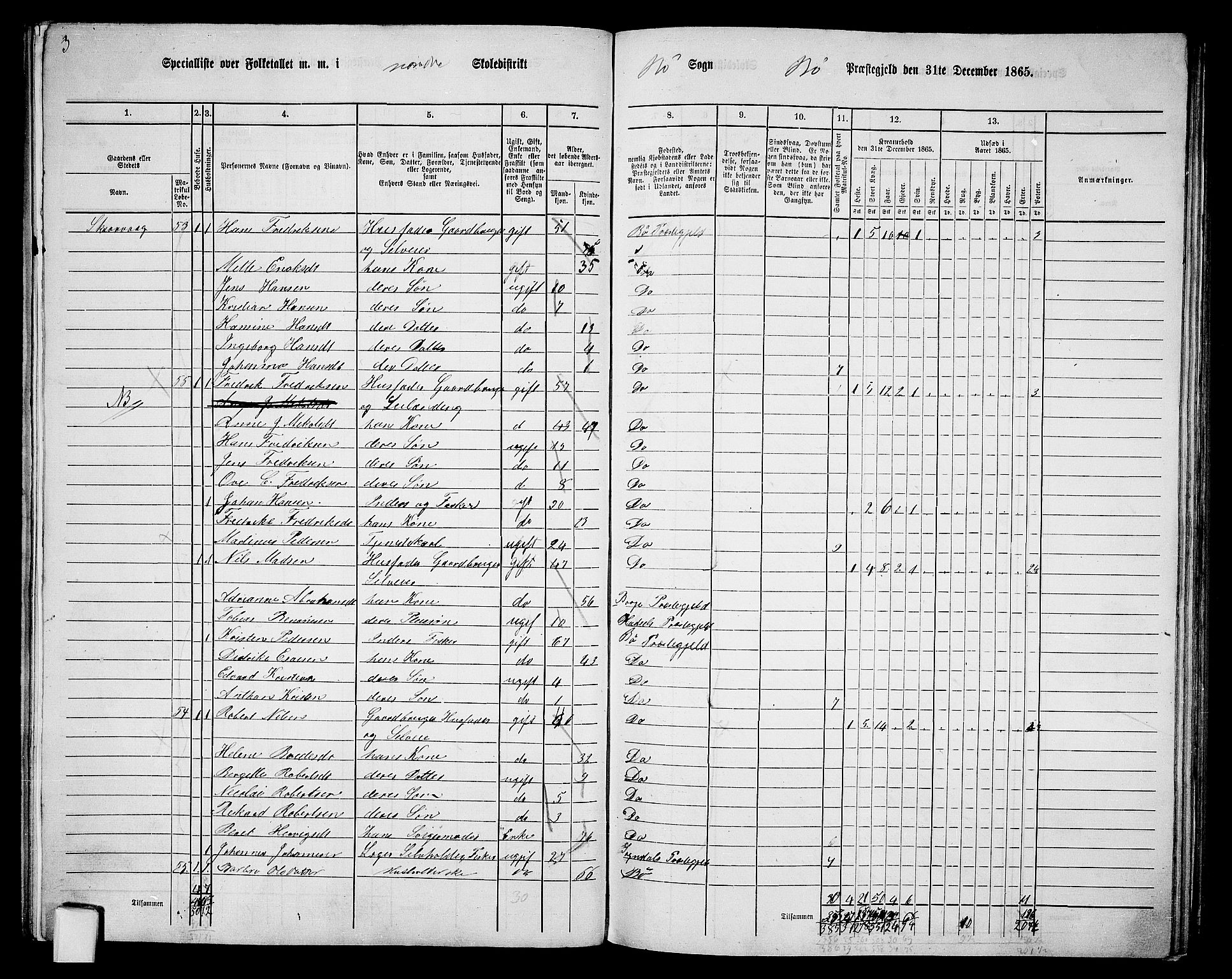 RA, 1865 census for Bø, 1865, p. 21