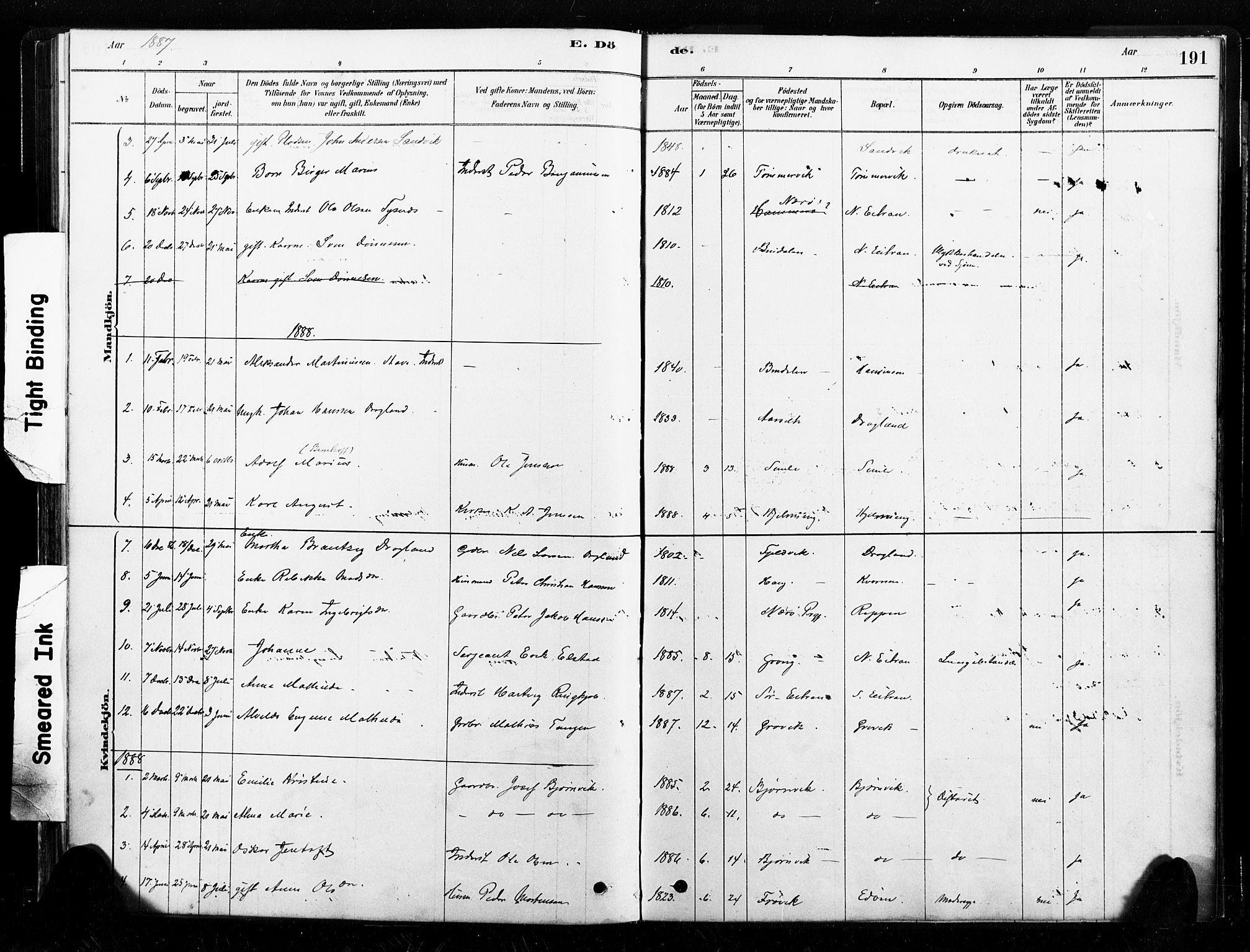 Ministerialprotokoller, klokkerbøker og fødselsregistre - Nord-Trøndelag, SAT/A-1458/789/L0705: Parish register (official) no. 789A01, 1878-1910, p. 191
