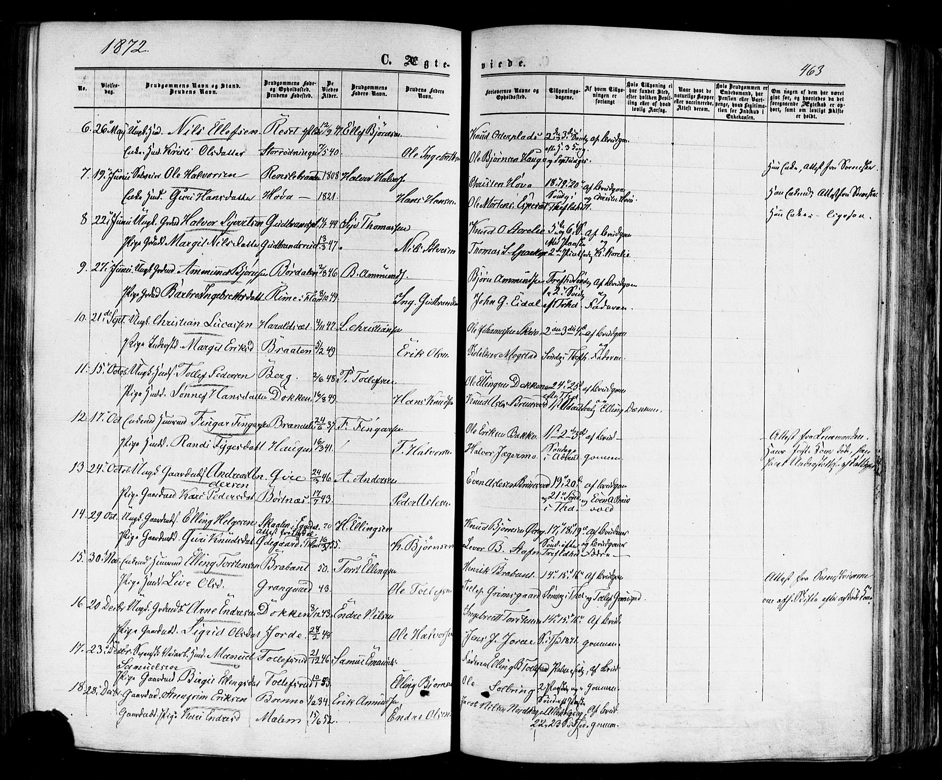 Nes kirkebøker, AV/SAKO-A-236/F/Fa/L0010: Parish register (official) no. 10, 1864-1880, p. 463