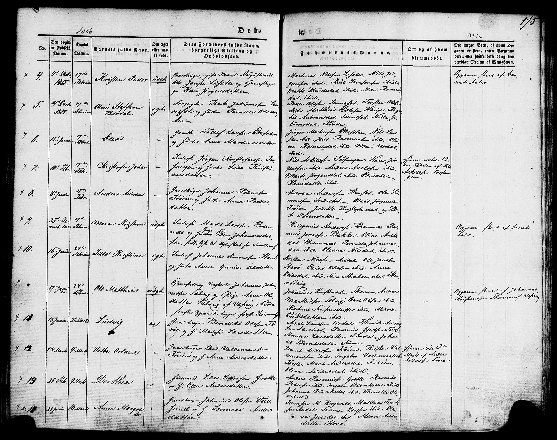 Kinn sokneprestembete, AV/SAB-A-80801/H/Haa/Haaa/L0005: Parish register (official) no. A 5, 1841-1857, p. 175