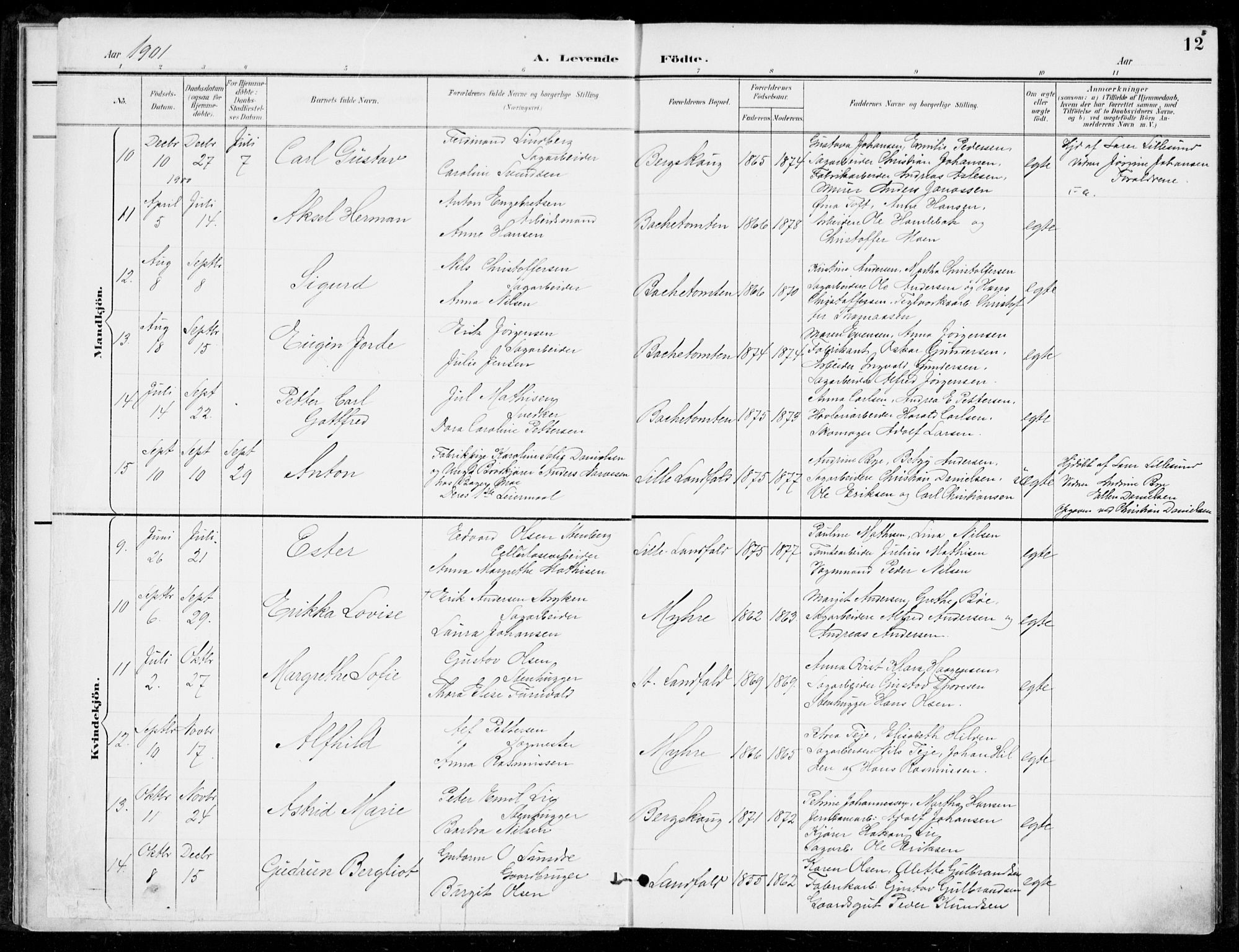 Åssiden kirkebøker, SAKO/A-251/F/Fa/L0002: Parish register (official) no. 2, 1896-1916, p. 12